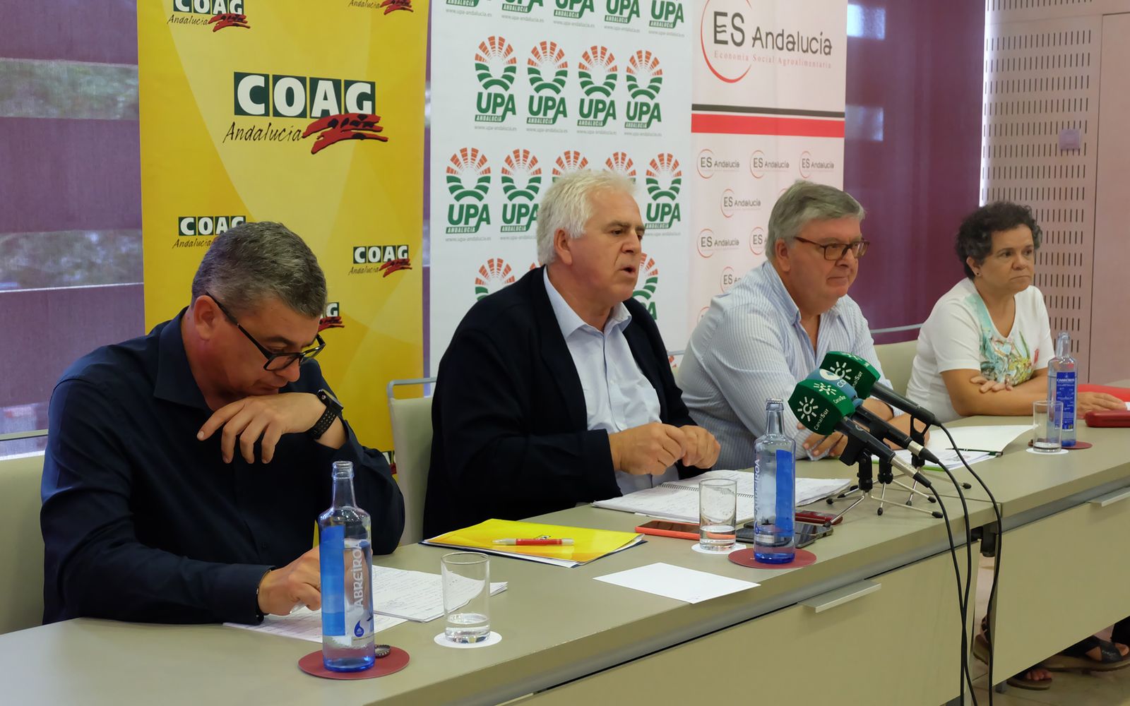 Los responsables de las organizaciones agrarias en el acto de comunicación que ofrecieron en Sevilla.