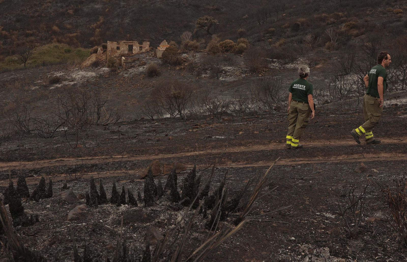 Fotos de los efectos del incendio en el Puerto del Laurel en Algeciras