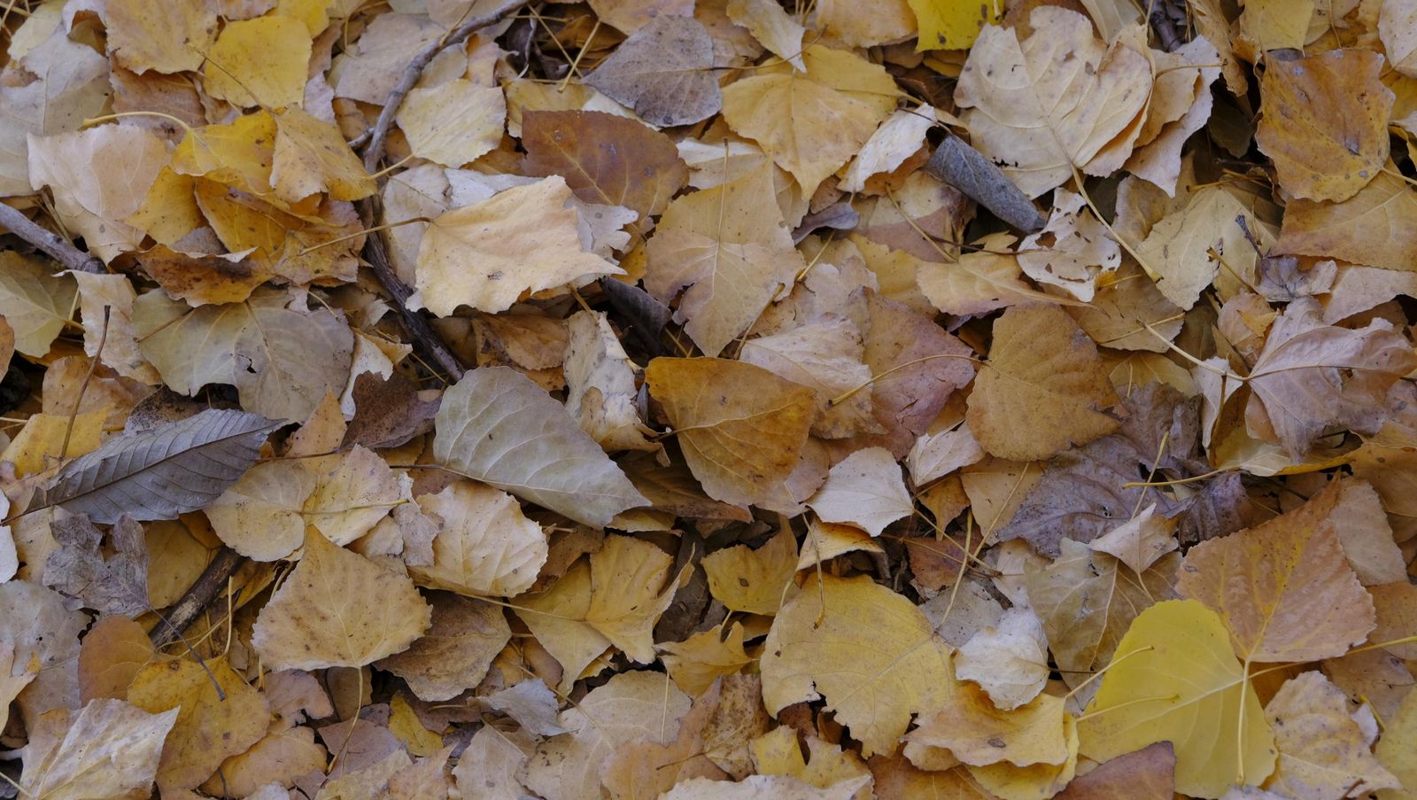 Limpieza y senderismo por la Alpujarra, en imágenes