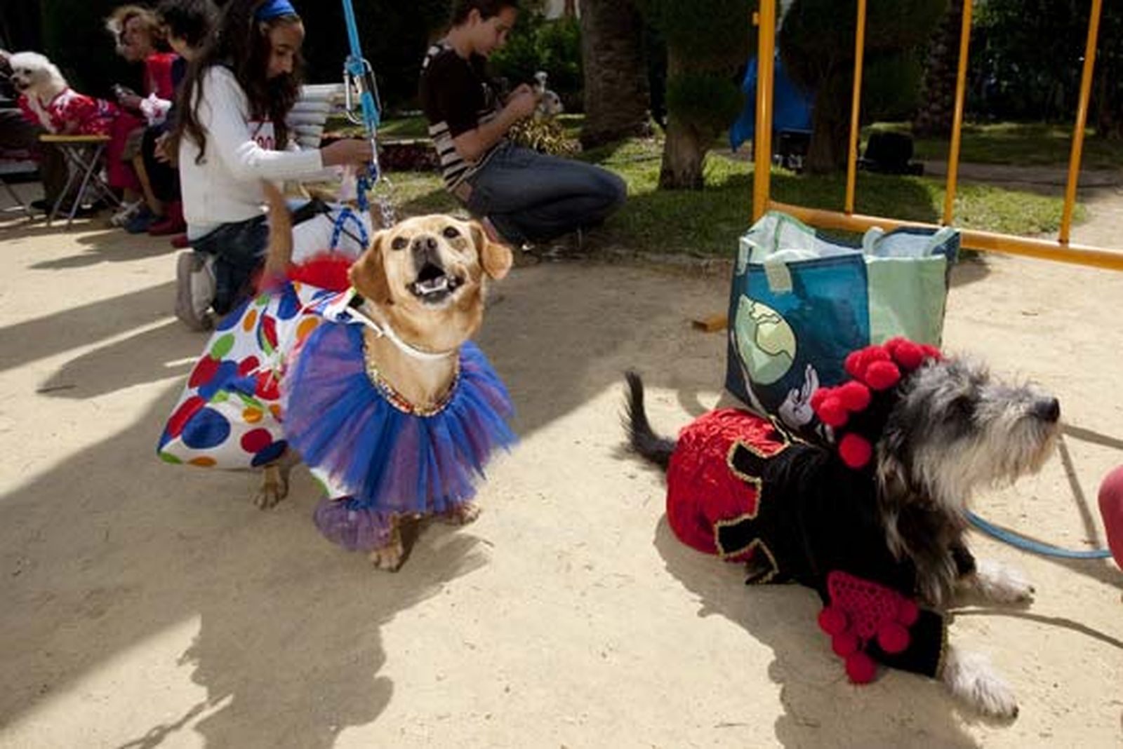 Más de 500 perros participaron en el evento, que contó con una exhibición de las Fuerzas del Orden


Foto: Lourdes de Vicente