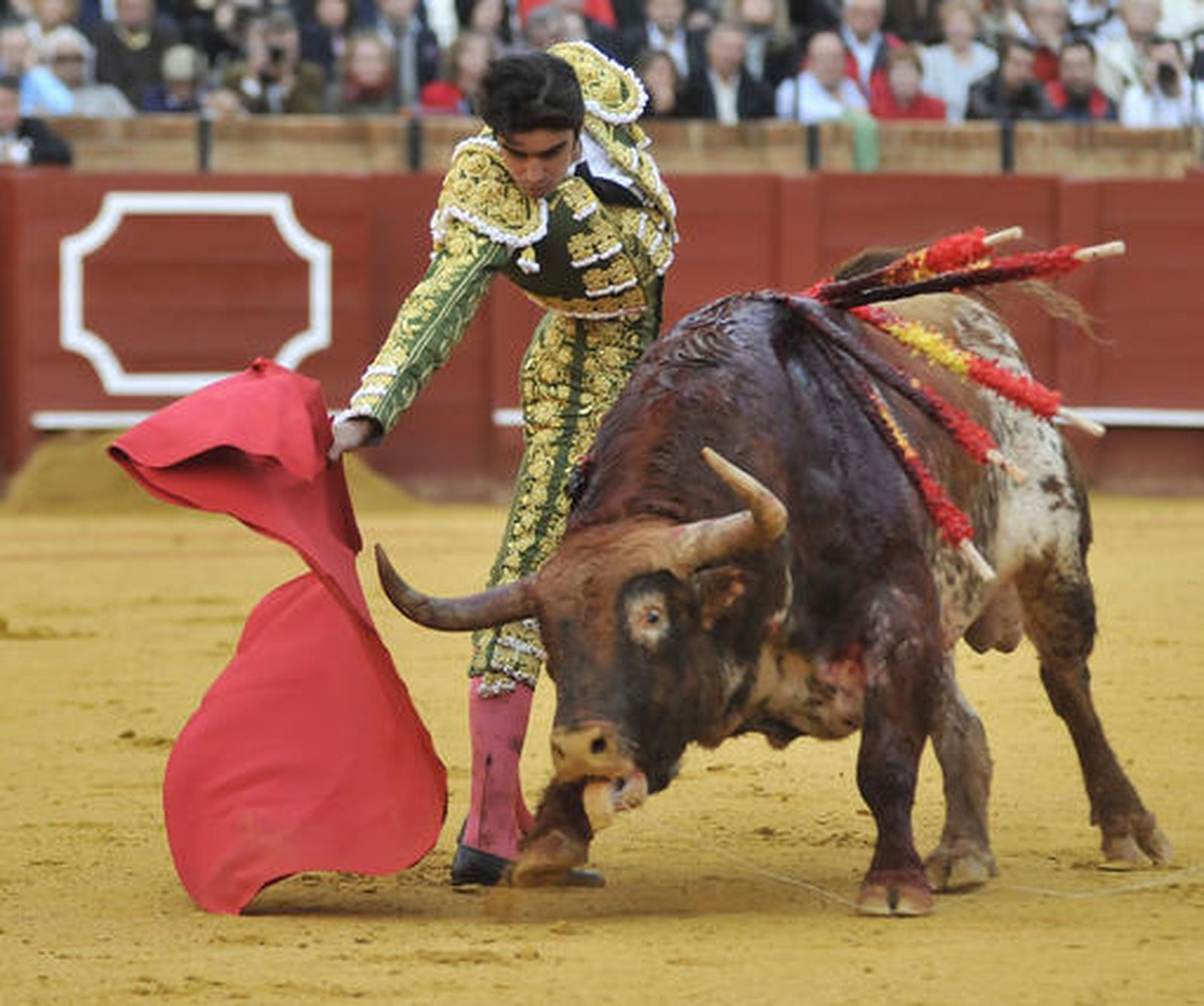 Miguel Ángel Perera toreó al quinto.

Foto: Juan Carlos Muñoz