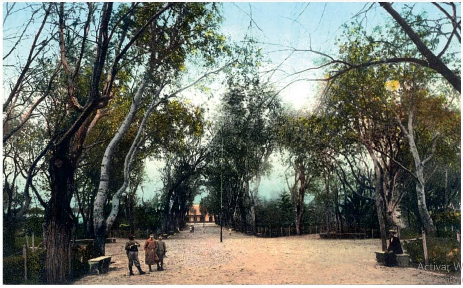 Postal coloreada, editada hacia 1904 por J. Ferrary de Gibraltar con el número 4. En ella se puede ver la calle central del Paseo de Cristina.