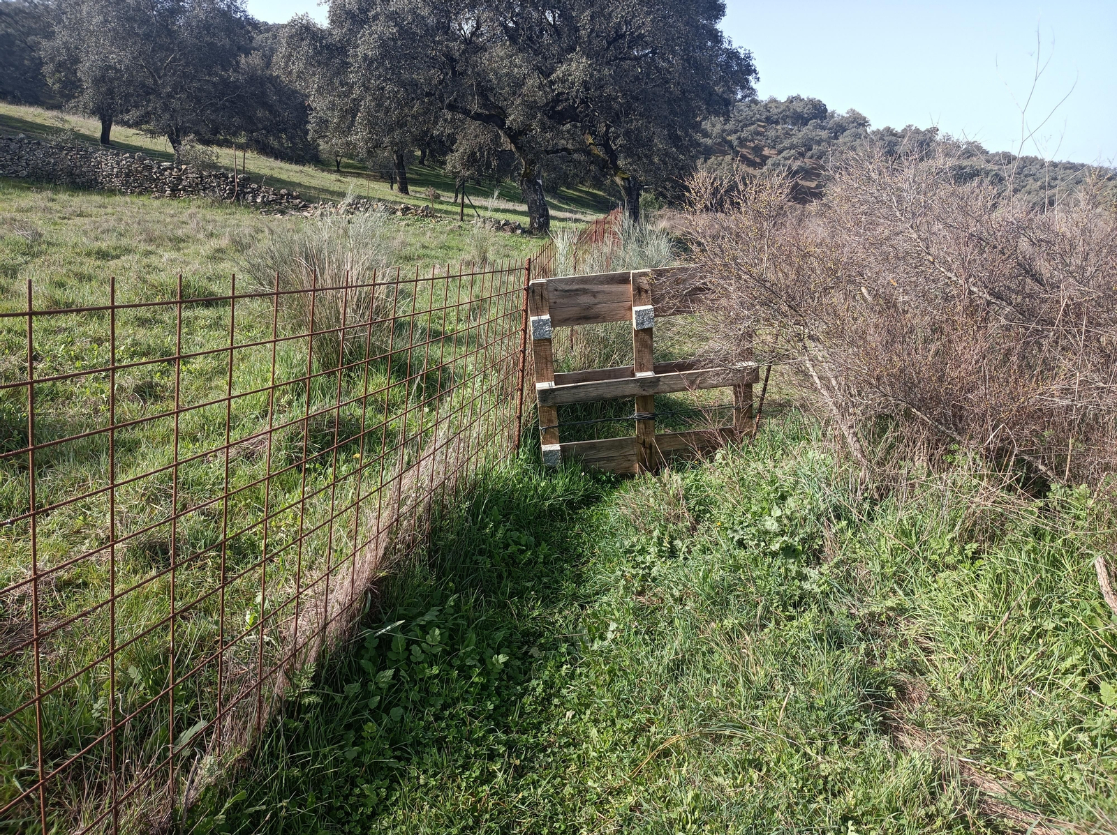 Fotos de la georruta de La Lobera