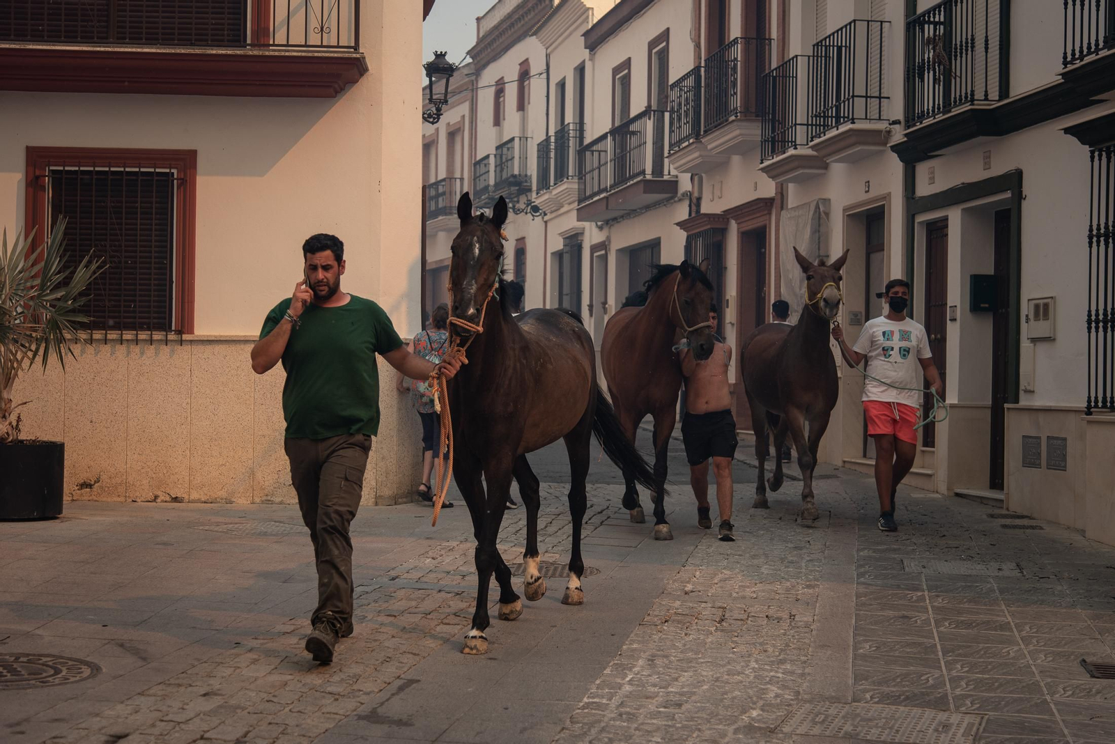 El incendio de Lucena del Puerto en imágenes