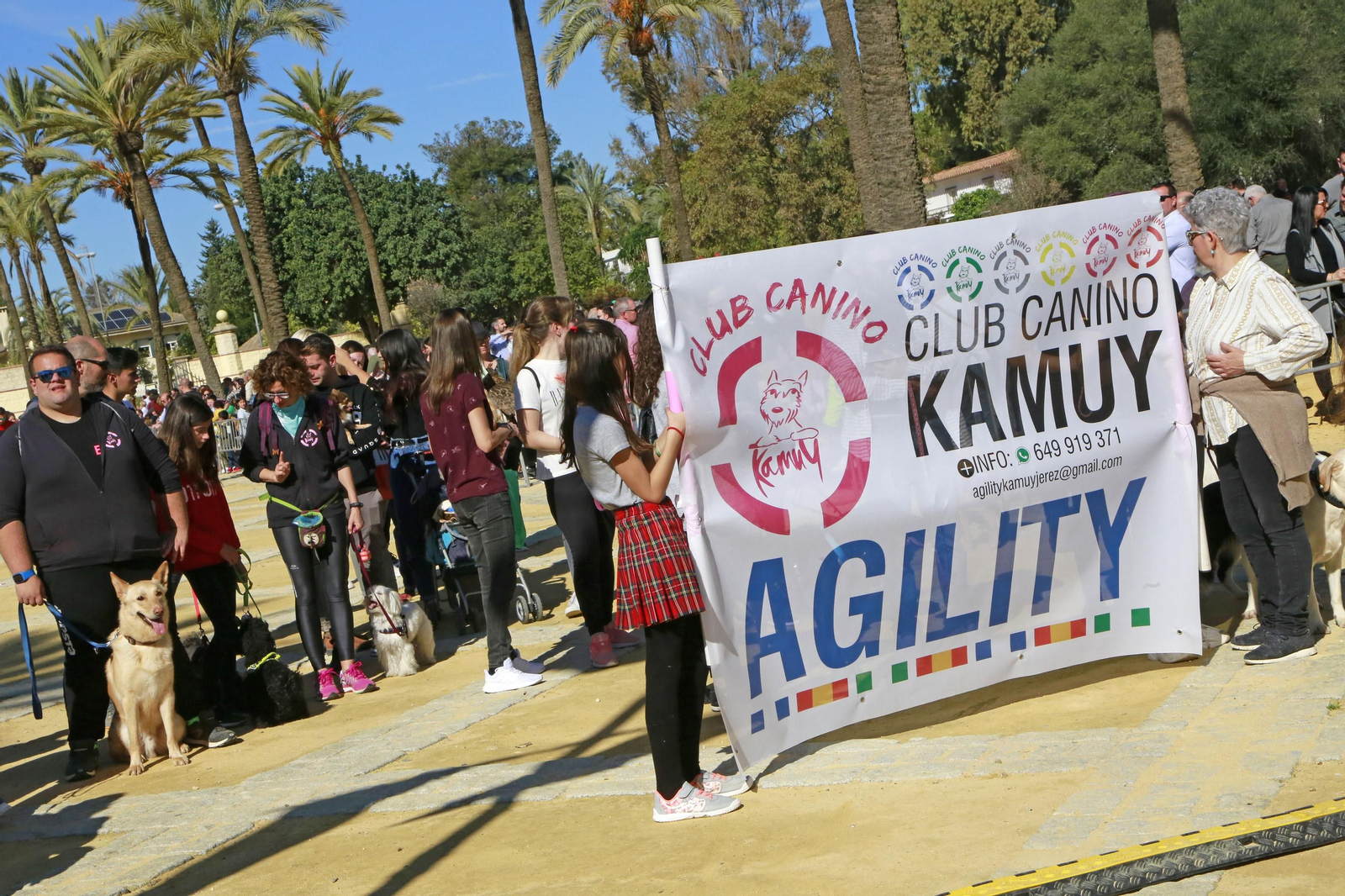 Imágenes de San Antón 2020 en Jerez