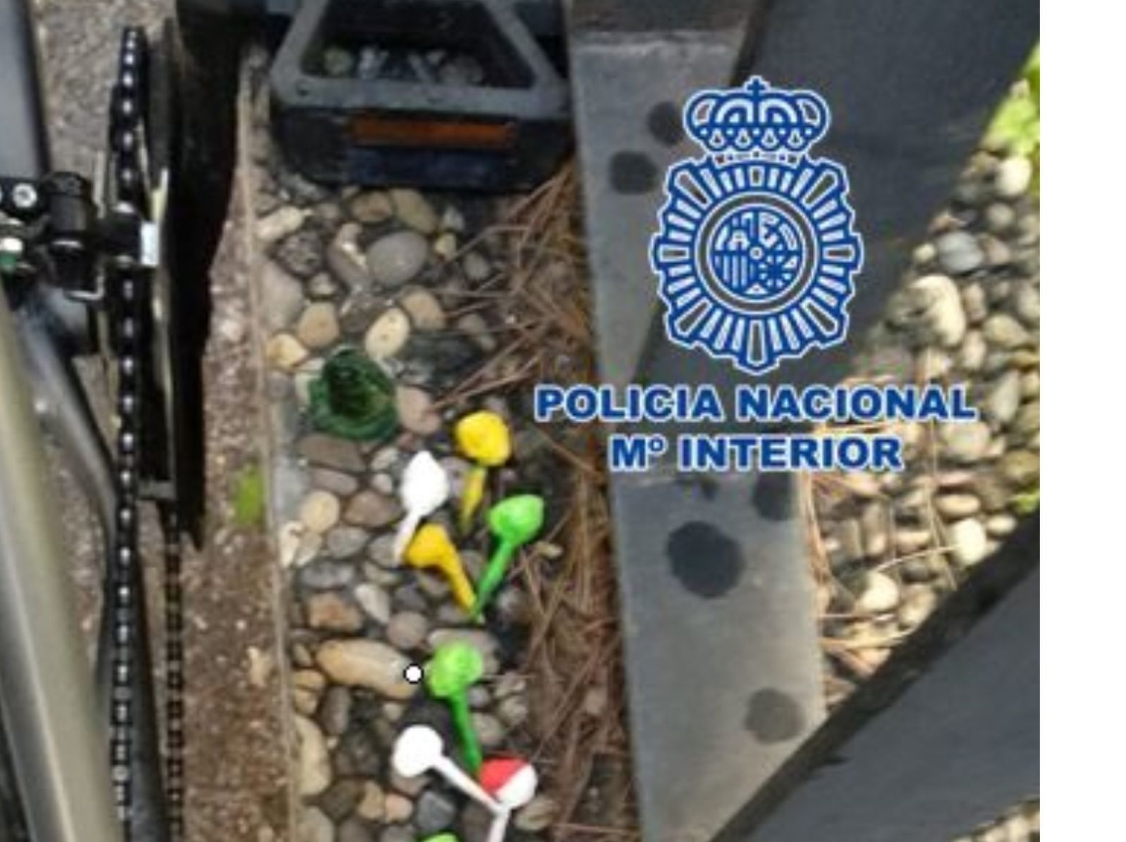 Operación Pantera: cae una banda que pasaba cocaína en bares de copas del centro de Granada