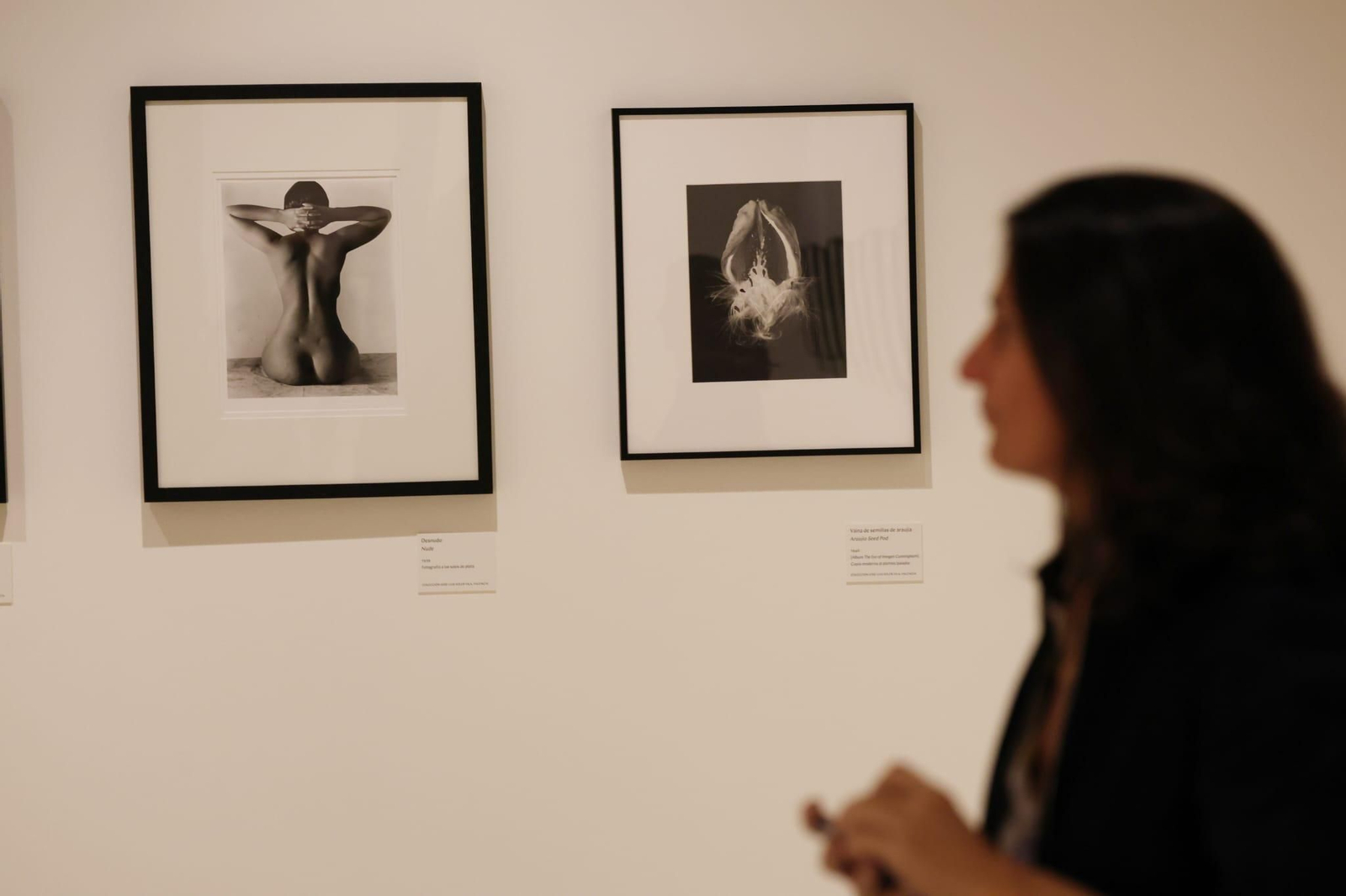 Cuadros de la nueva exposición del Museo Carmen Thyssen de Málaga