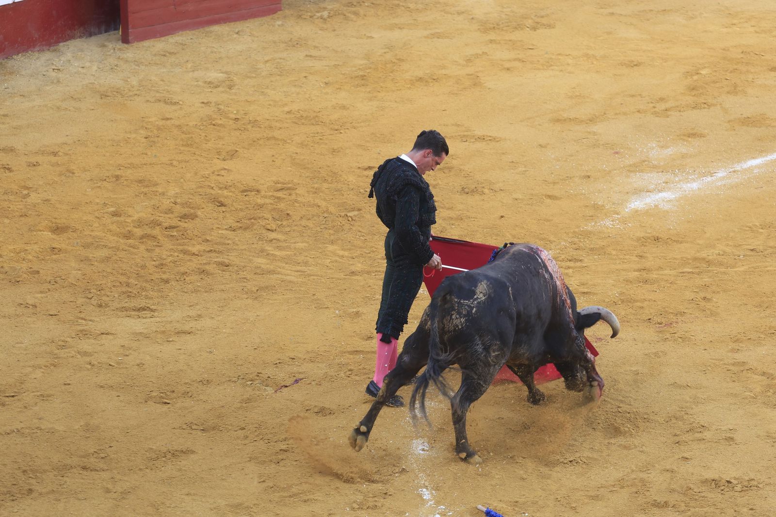 Fotos de la corrida de toros de la Feria de San Roque con David Galván, Román y Joaquín Galdós