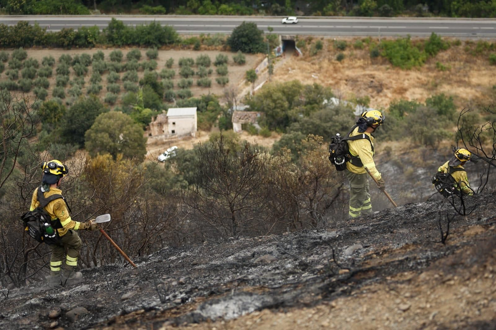 Las imágenes de la Fuente de la Bicha de Granada tras las llamas