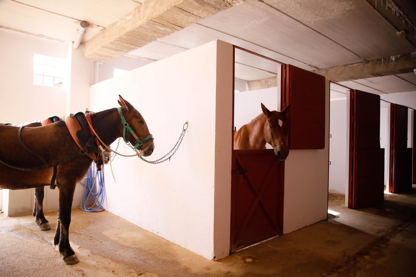 Imágenes de la corrida de toros en Roquetas de Mar