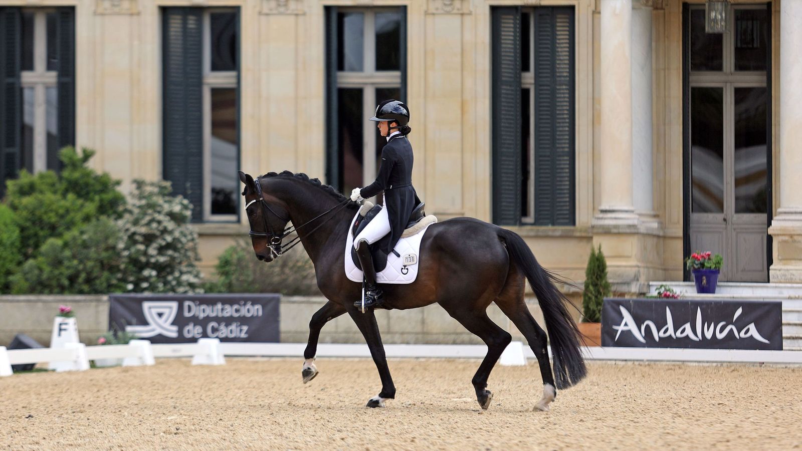 Concurso Internacional de Doma Clásica en La Real Escuela de Jerez
