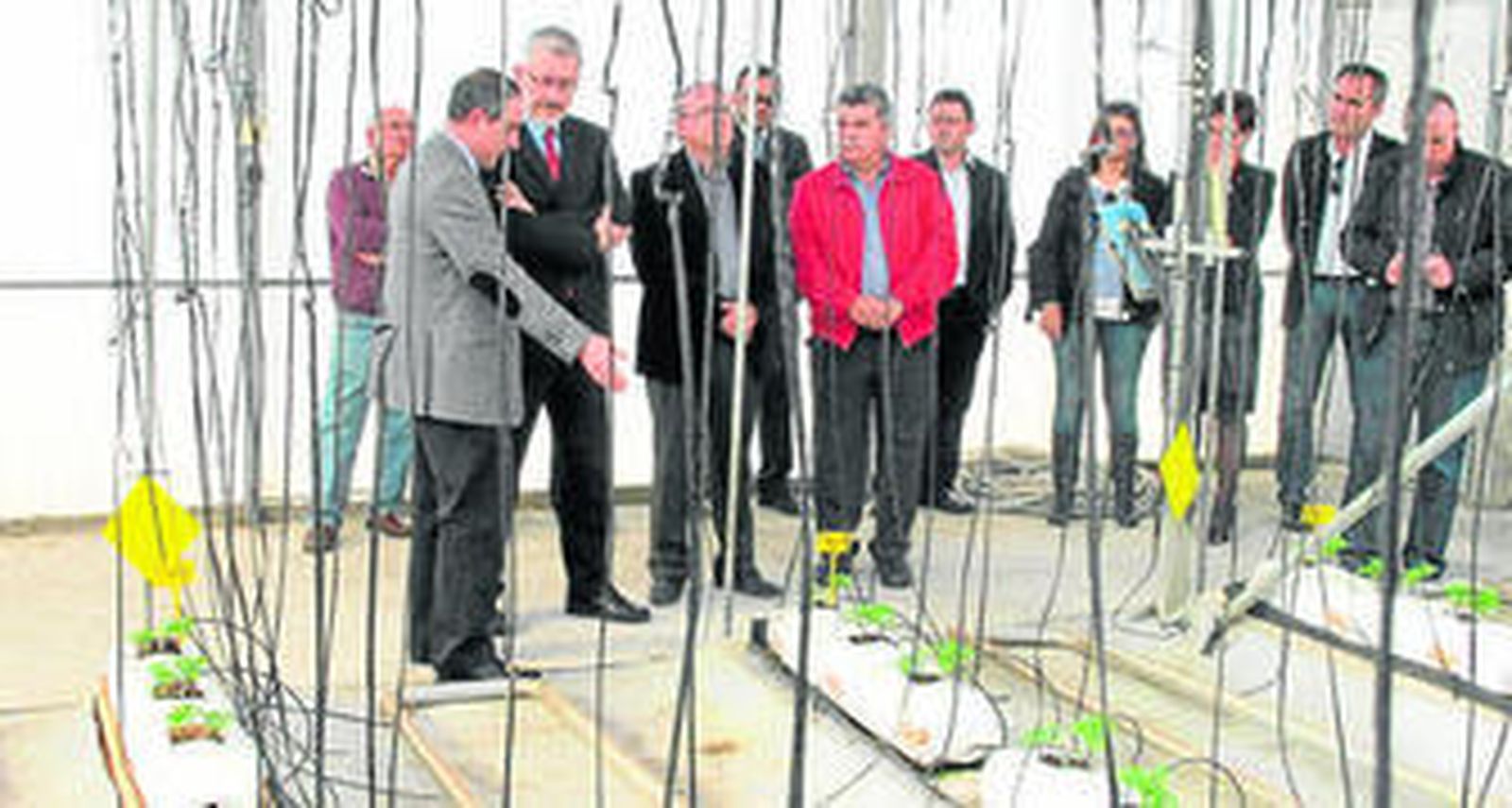 El responsable de Exportación de Novedades Agrícolas, Lucas Galera, mostró las instalaciones a Ávila.