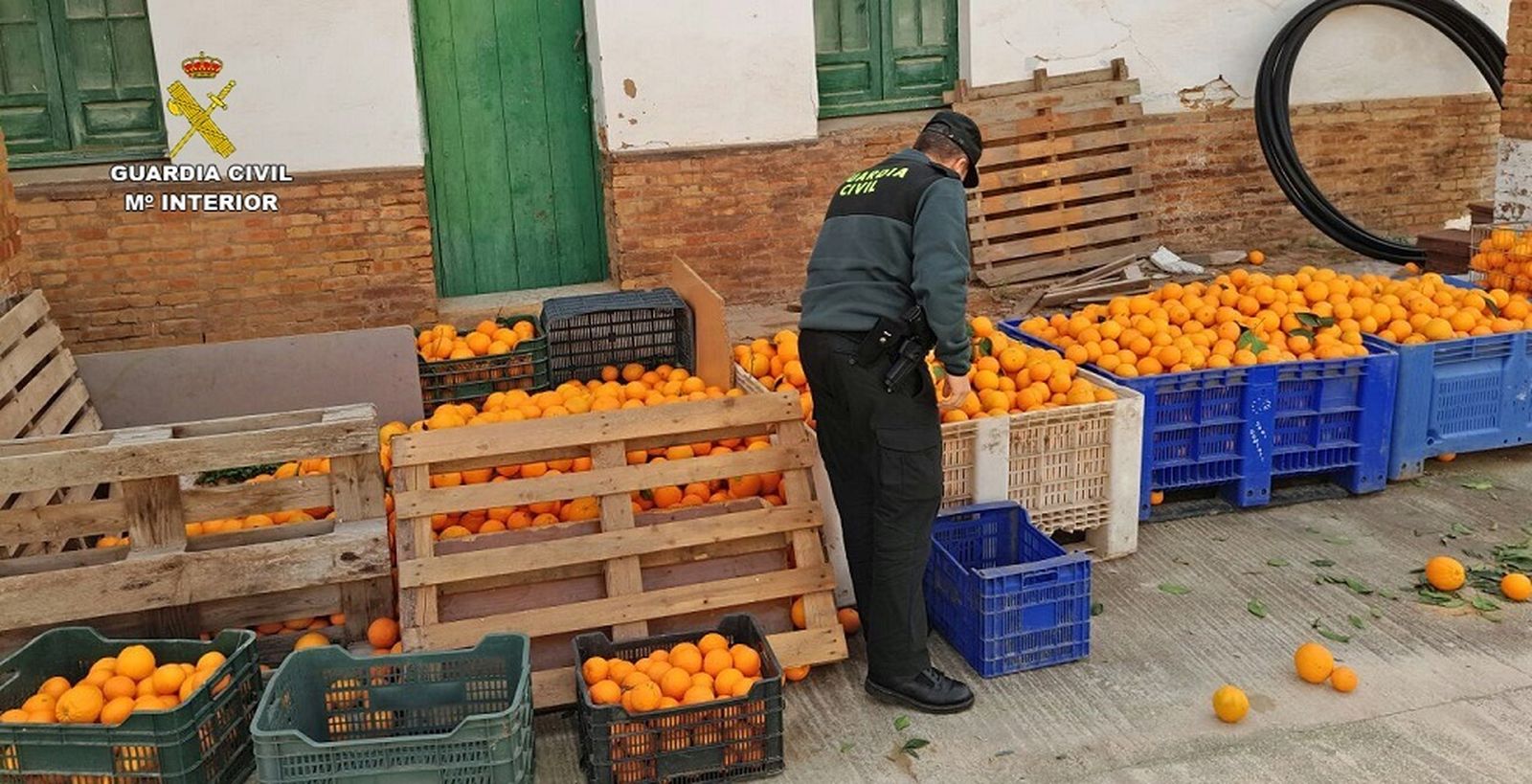Imagen de archivo de otra operación contra el robo de naranjas.