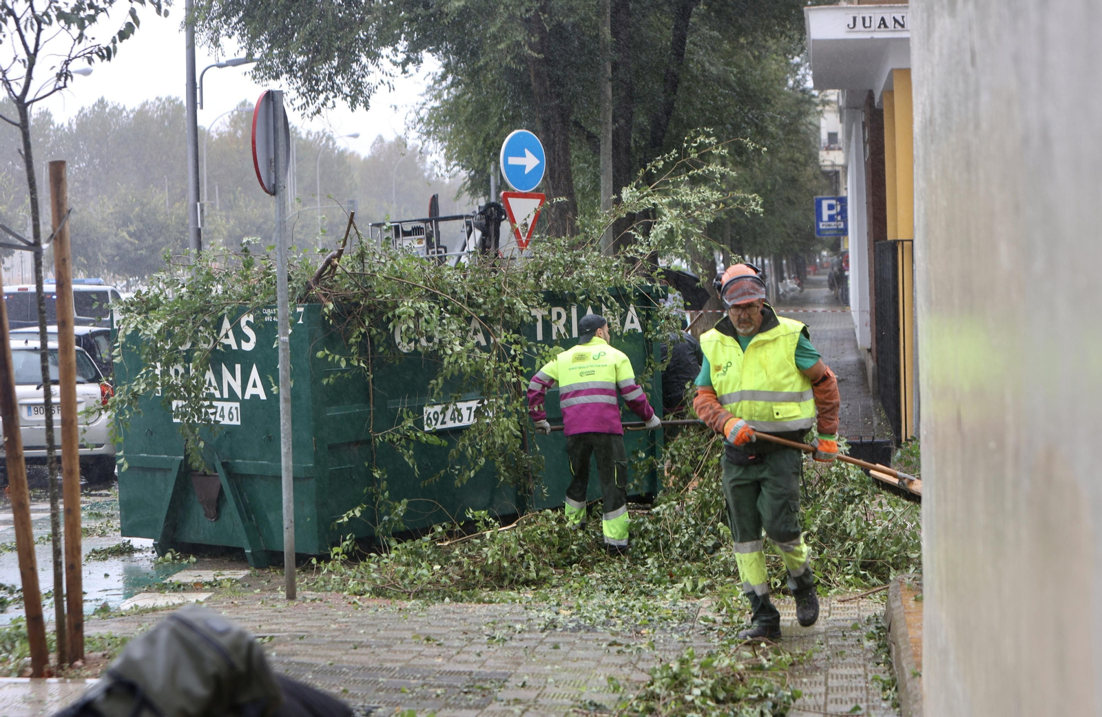 Temporal de lluvia y viento en Sevilla