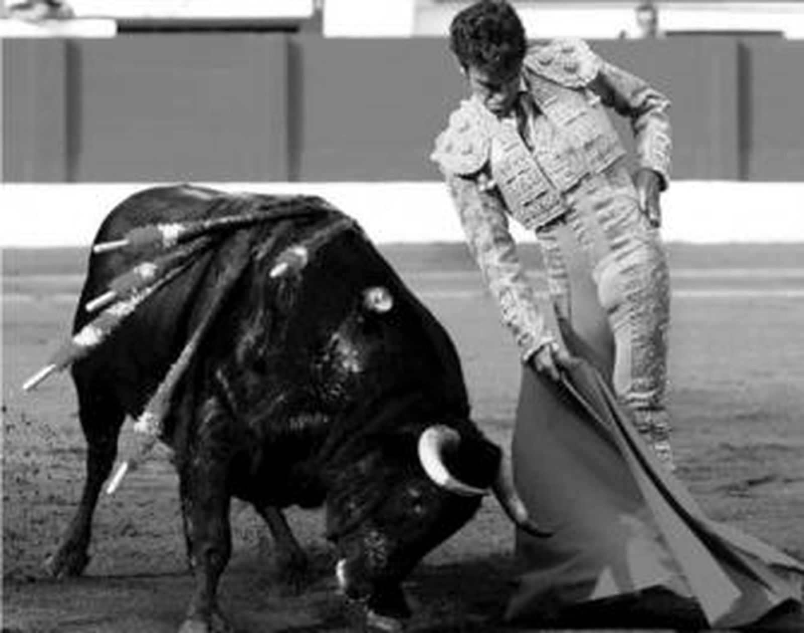 El diestro José Tomás pegando un pase por bajo en la faena de muleta del quinto de la tarde.