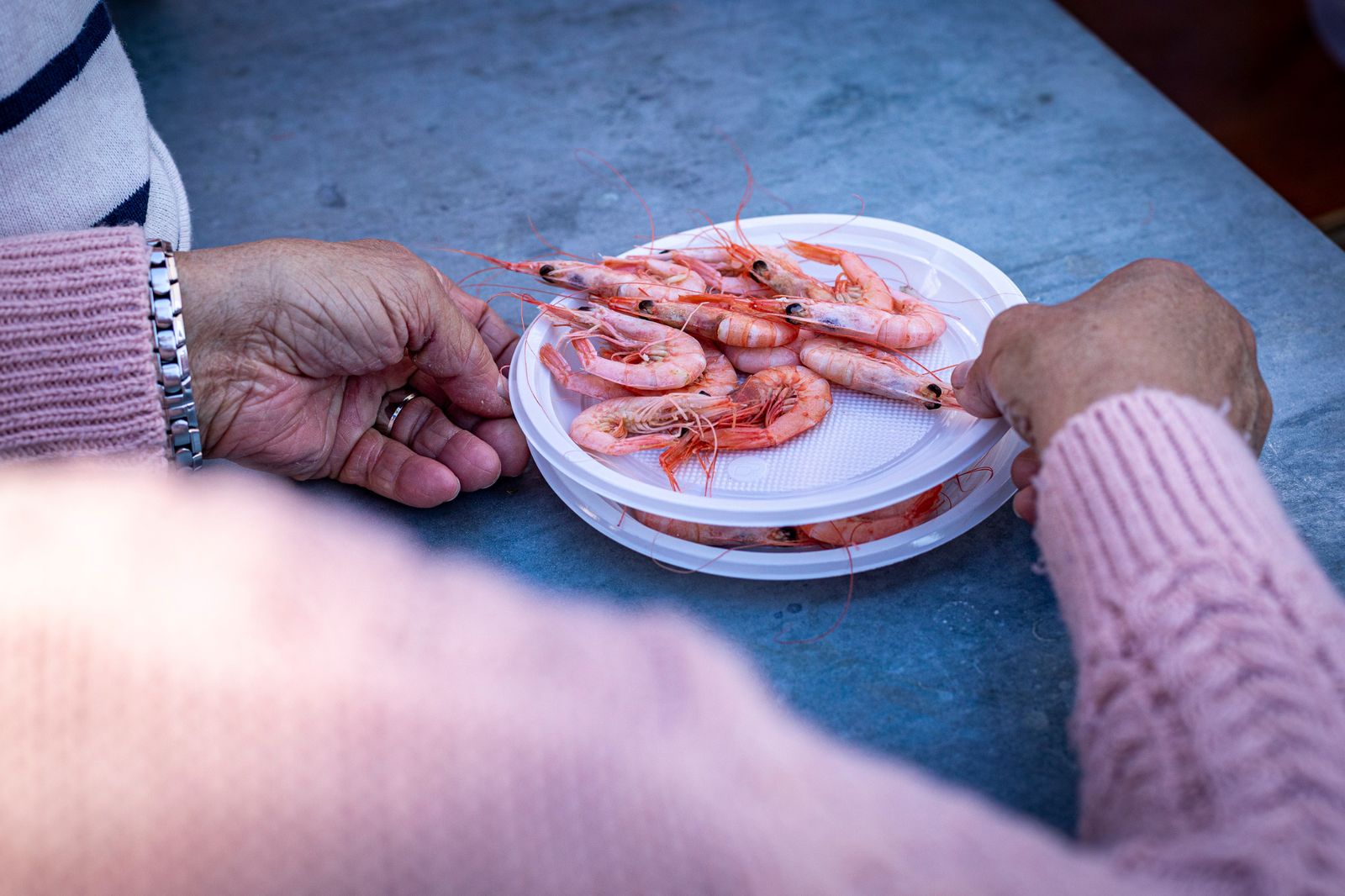 Búscate en la Gambada Solidaria Popular 2025 en Cádiz