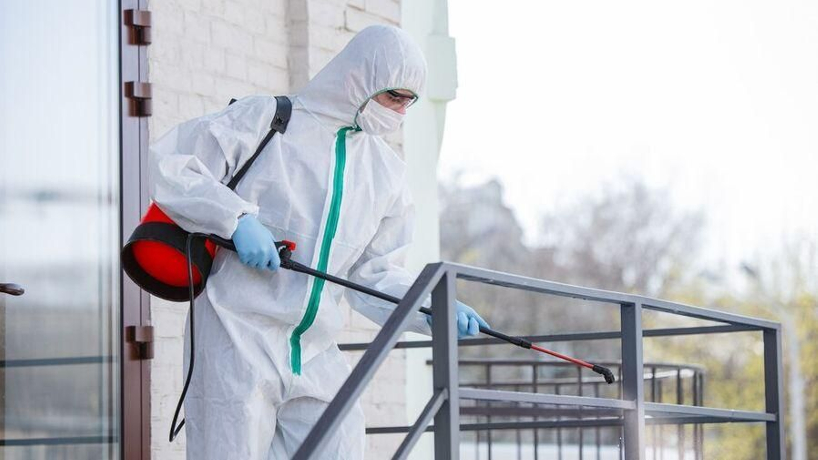 Plagas en Marbella, descubre como saber si necesitas un exterminador