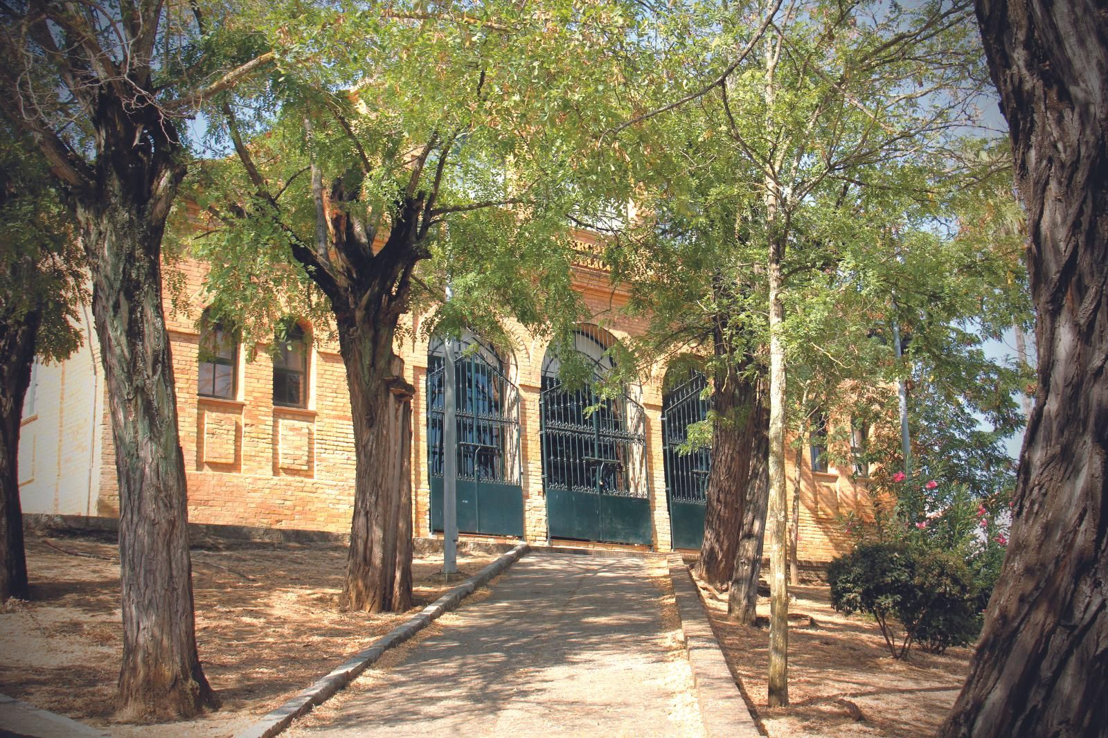 Mercado de Zalamea