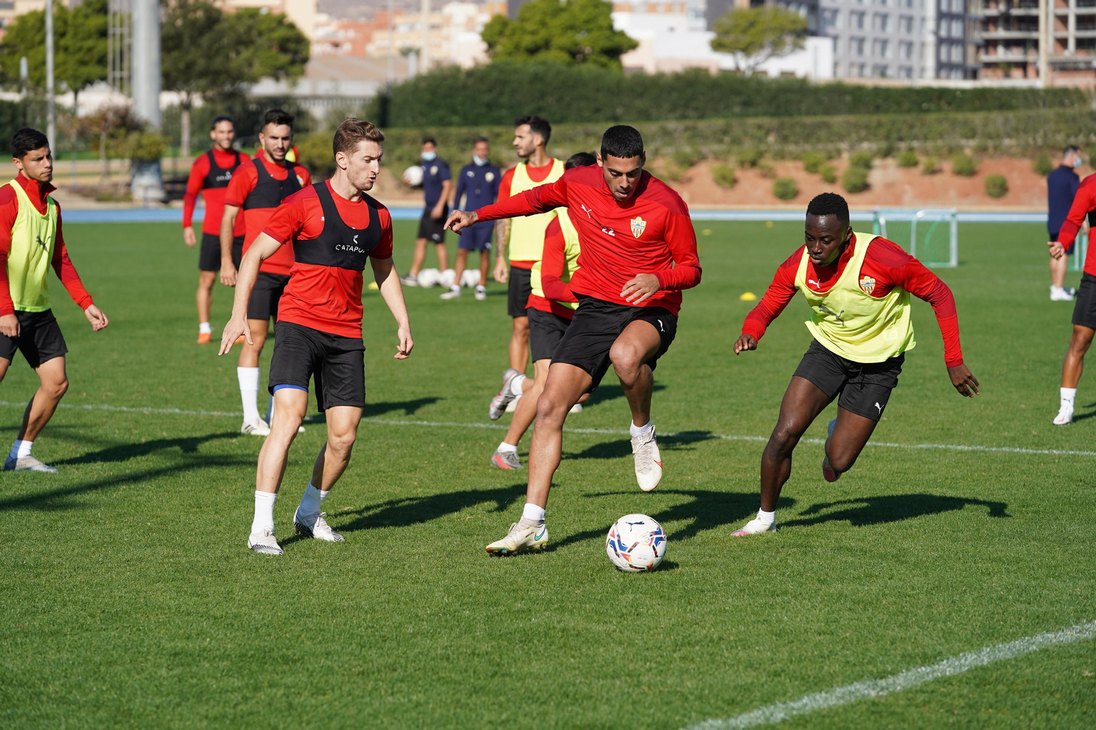 Fotogalería del entrenamiento del Almería, miércoles 11
