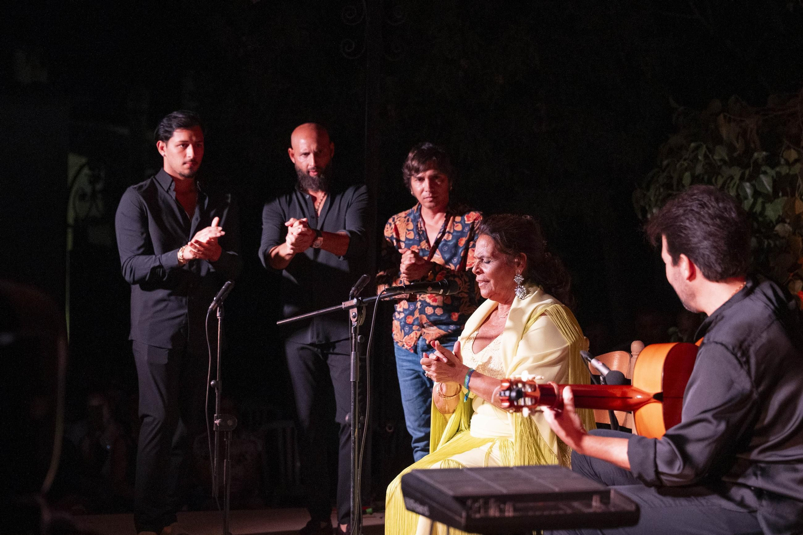 Las mejores imágenes del Festival de Flamenco en Fondón