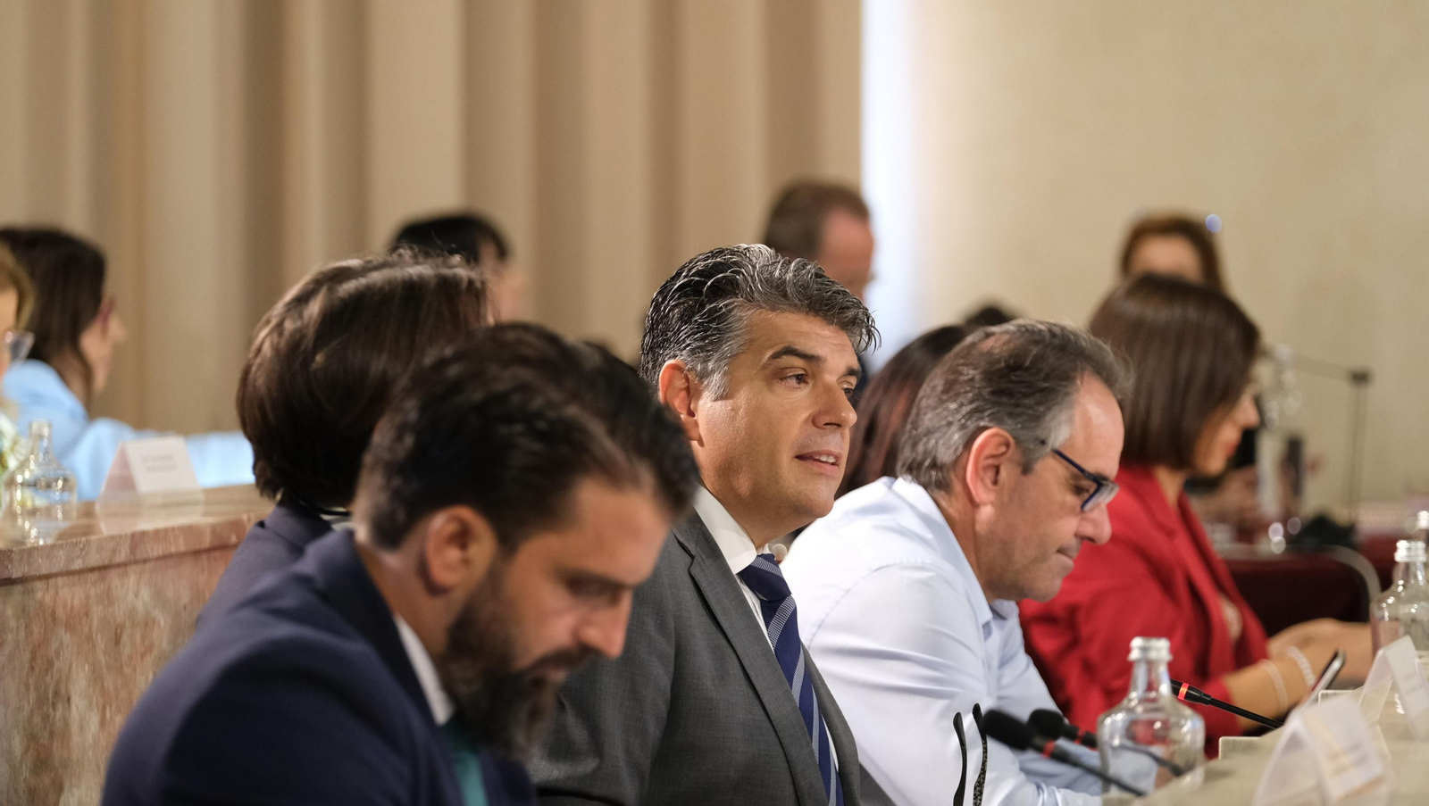 Imágenes del pleno del Ayuntamiento de Almería