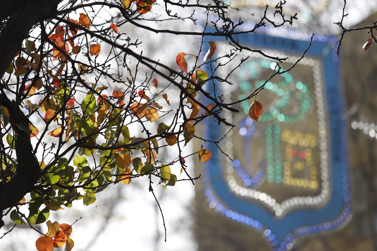 Imágenes del ambiente en la procesión de San Sebastián en Huelva