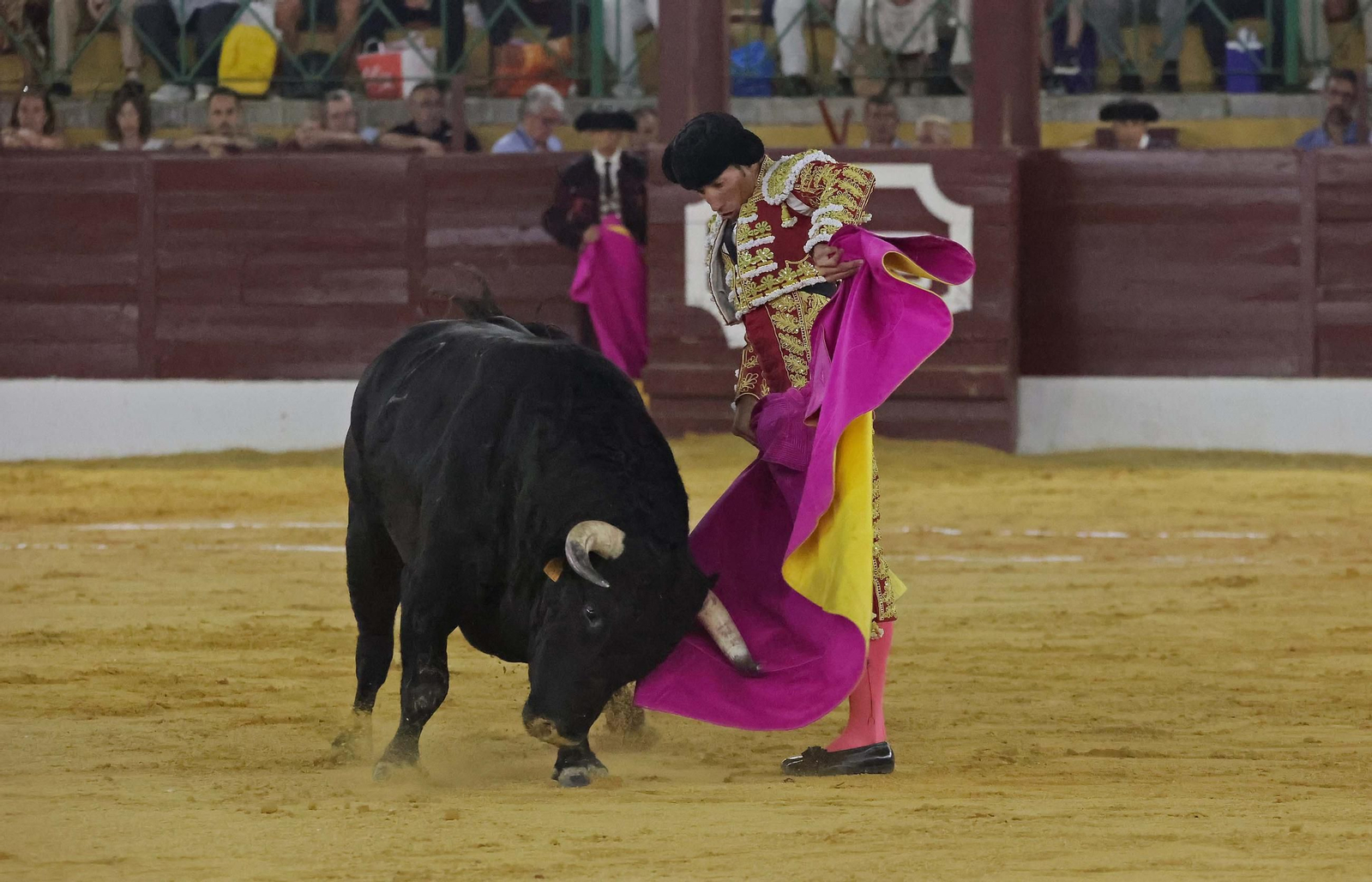 Fotos de la corrida del viernes de la Feria de La Línea: Morante de la Puebla, Talavante y David de Miranda Fotos de la corrida del viernes de la Feria de La Línea: Morante de la Puebla, Talavante y David de Miranda