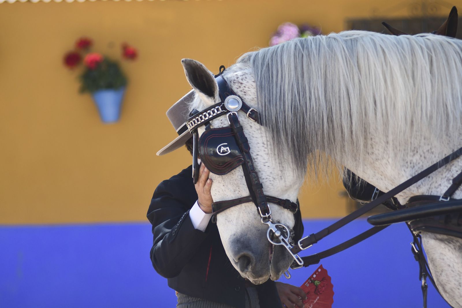 El Martes de Feria, en imágenes