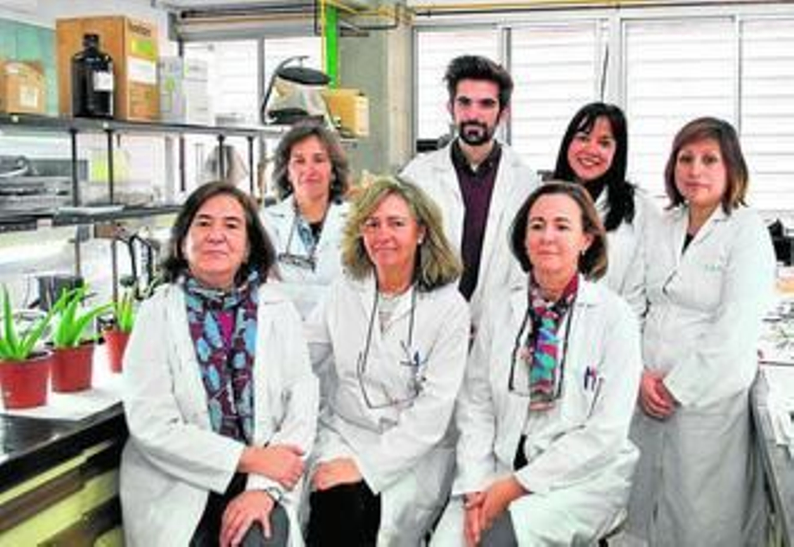 El grupo de investigación sobre Plantas Medicinales de la Universidad de Sevilla.