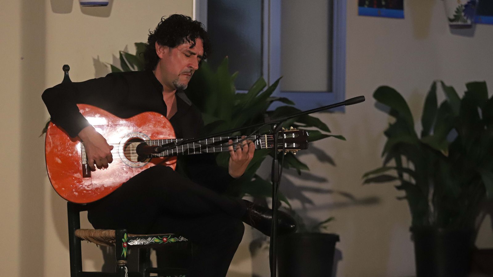 Fotos del Flamenco Tour en Algeciras