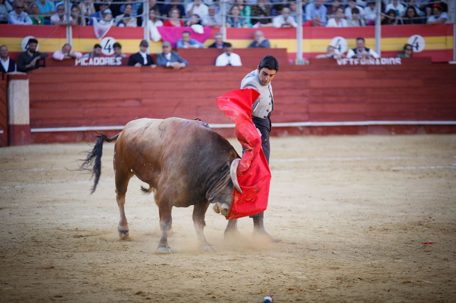 Imágenes del festival mixto lucha contra el cáncer