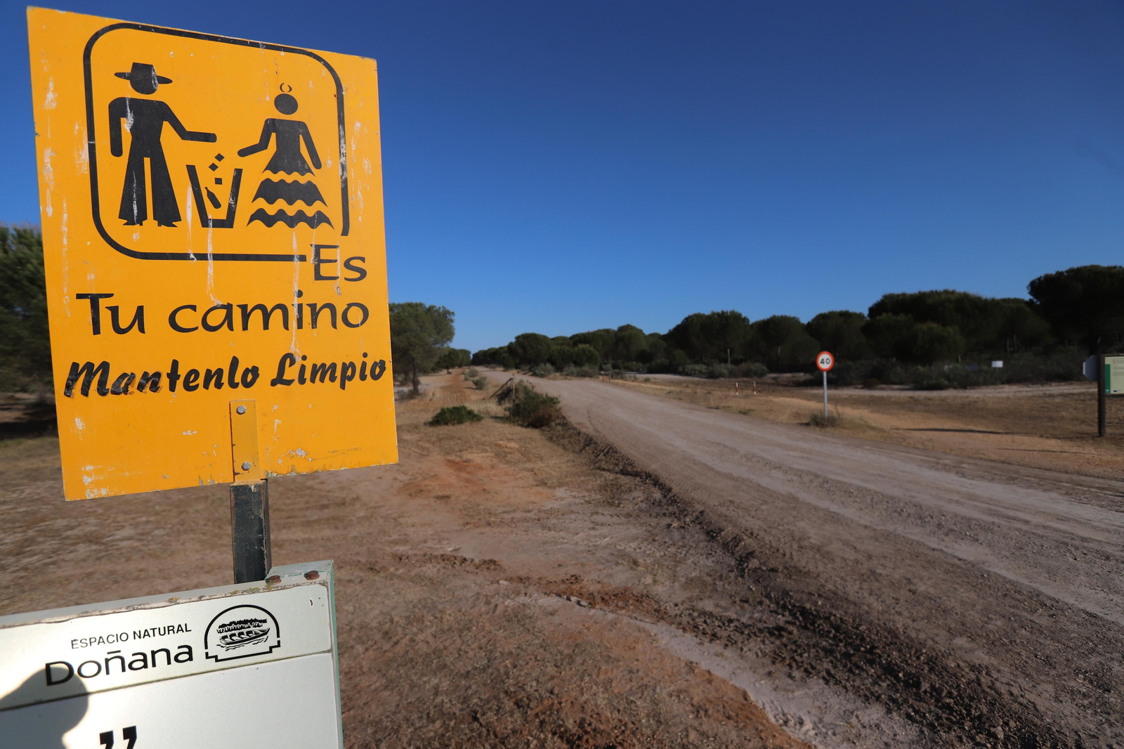 Imágenes del estado en el que se encuentran los caminos del Rocío para la Romería 2023