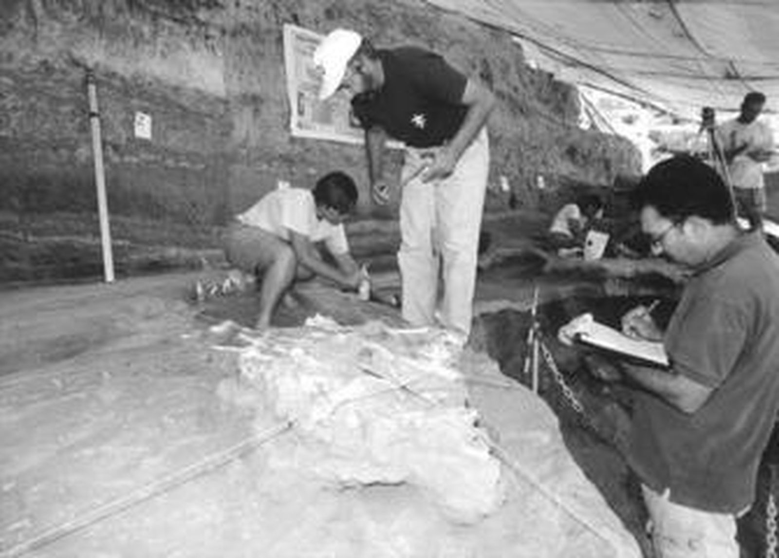 Investigadores, entre los numerosos restos fósiles hallados en Fonelas en una imagen de 2002.