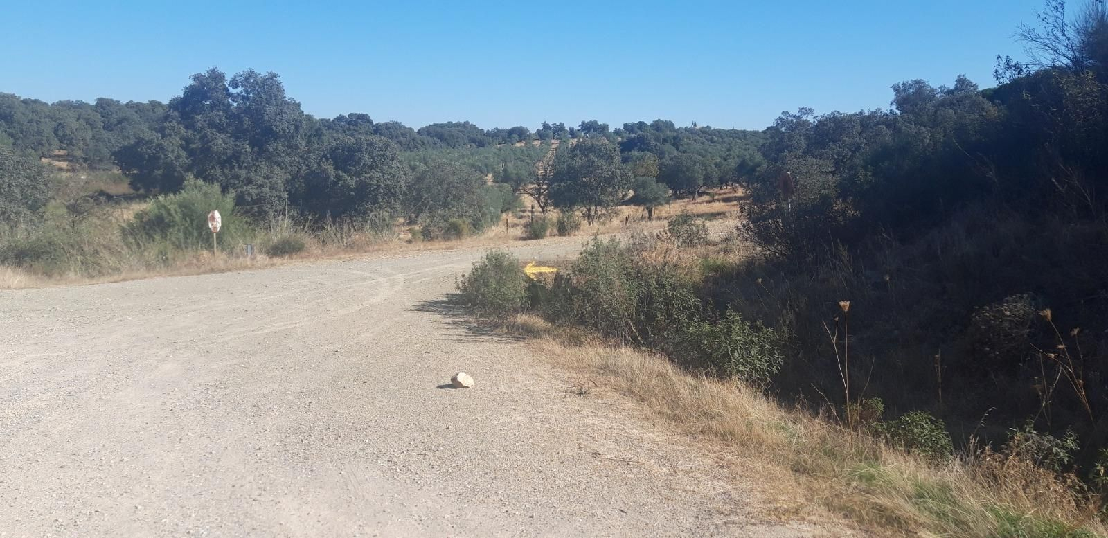 No se debe atender a la flecha amarilla. El sendero sube a la derecha.