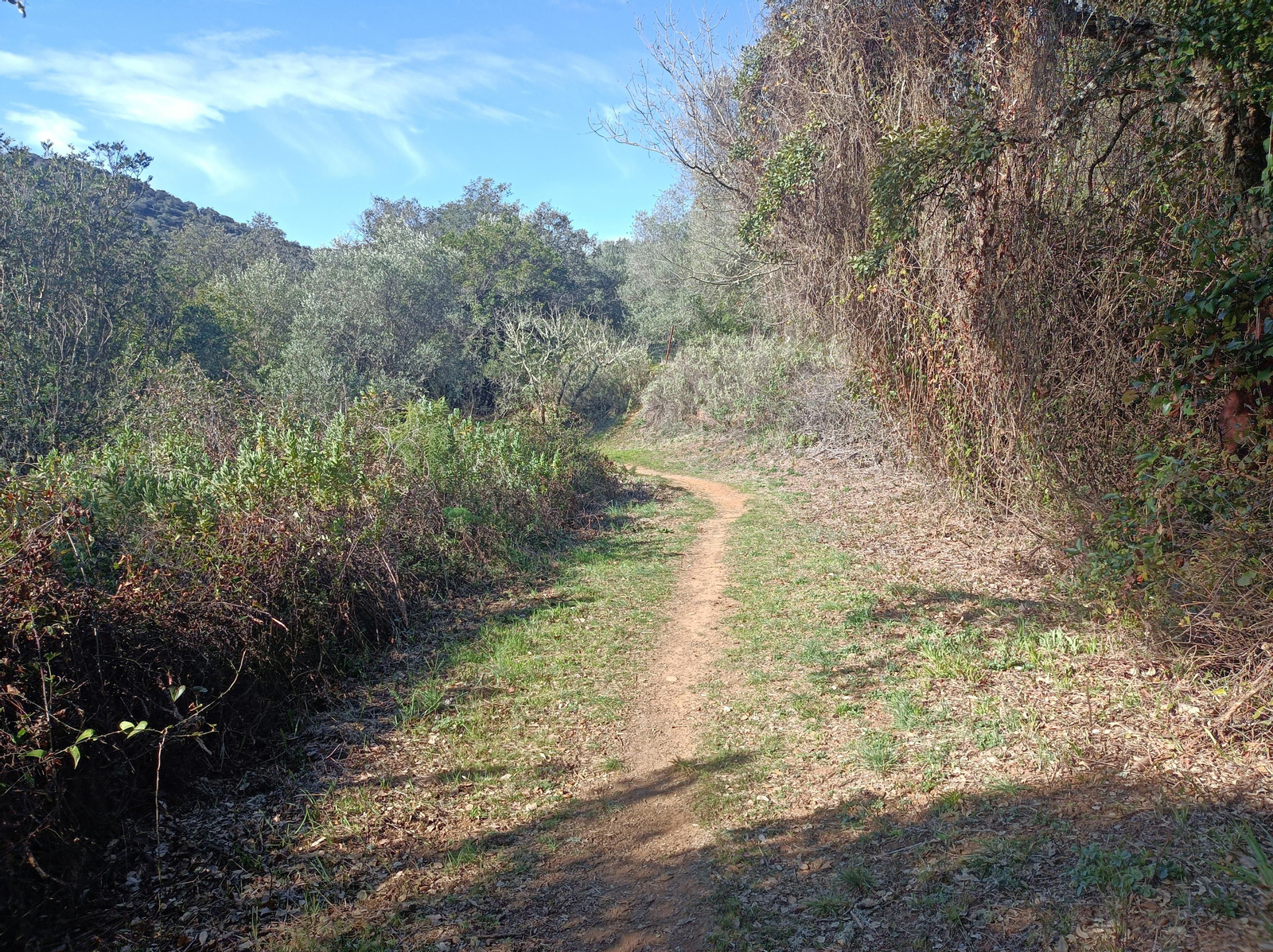 Las fotos de la circular de los Molinos del Ciudadeja