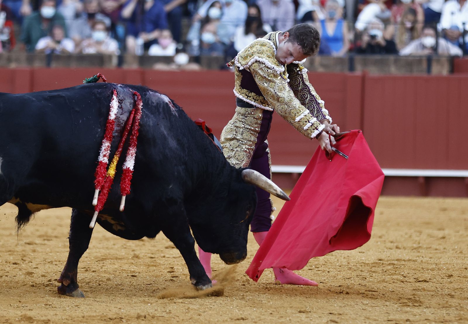 Fotos de la segunda novillada de la feria de San Miguel de Sevilla