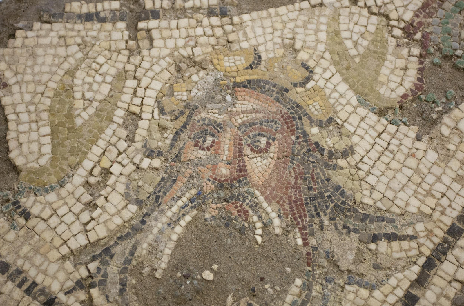 El traslado de las piezas del Museo Arqueológico, en imágenes.