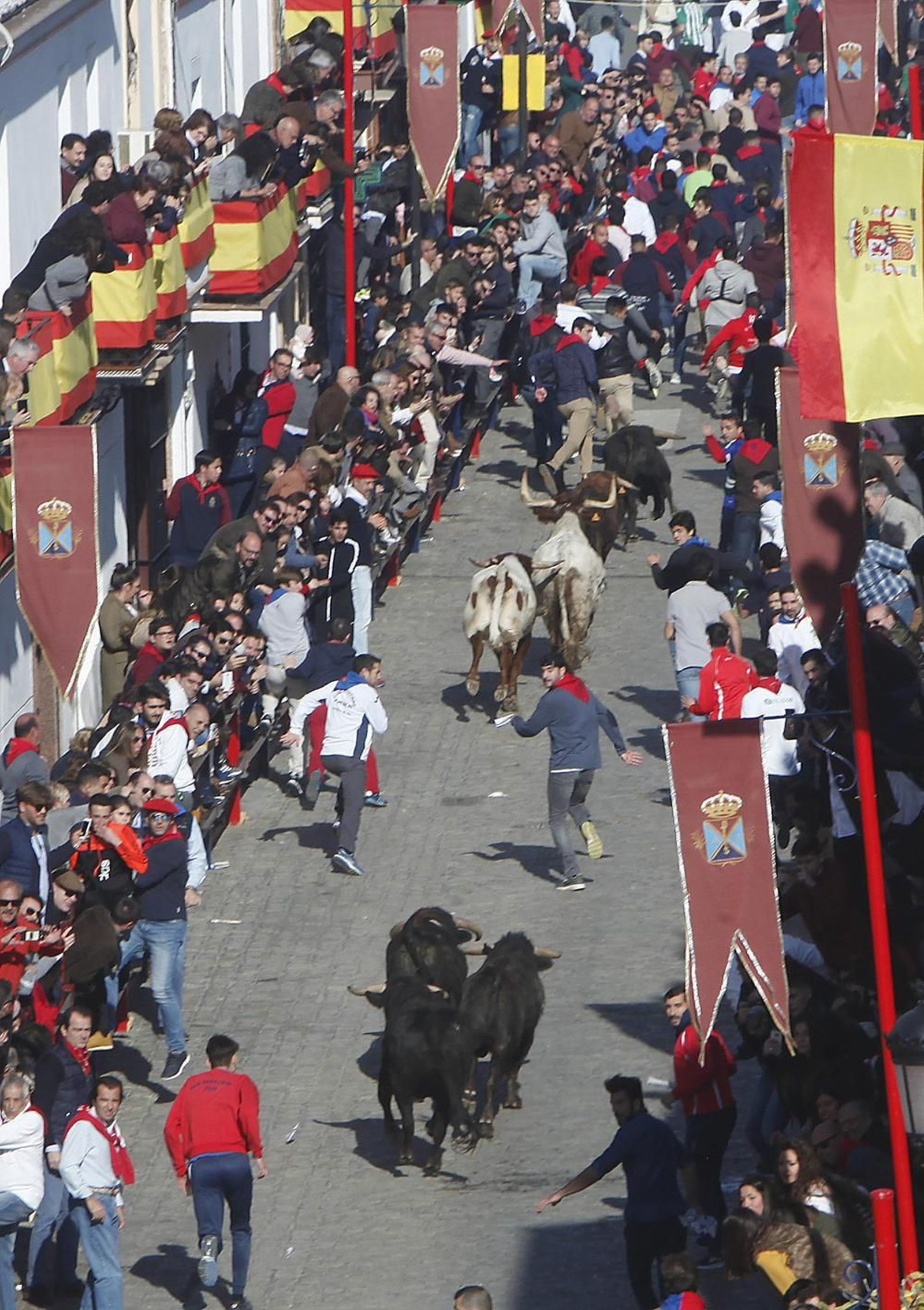 Encierro en La Puebla del Río.