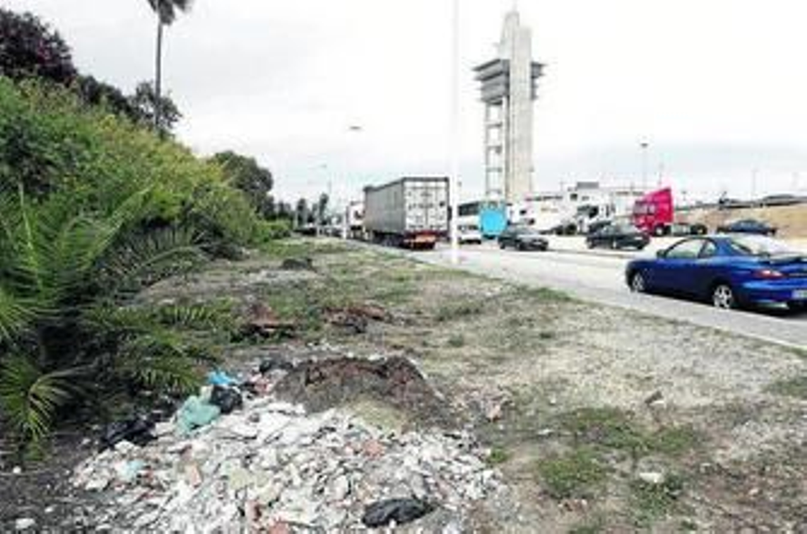 Imagen de las parcelas que rodean a la urbanización Marina del Carmen, abandonadas, ayer.
