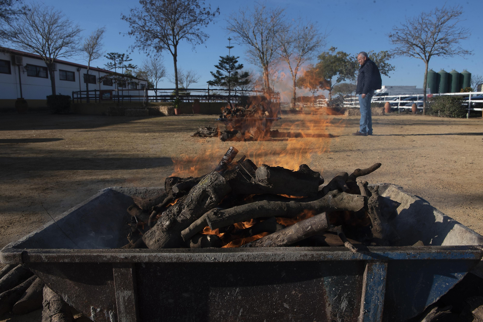 Un día de matanza en una finca sevillana