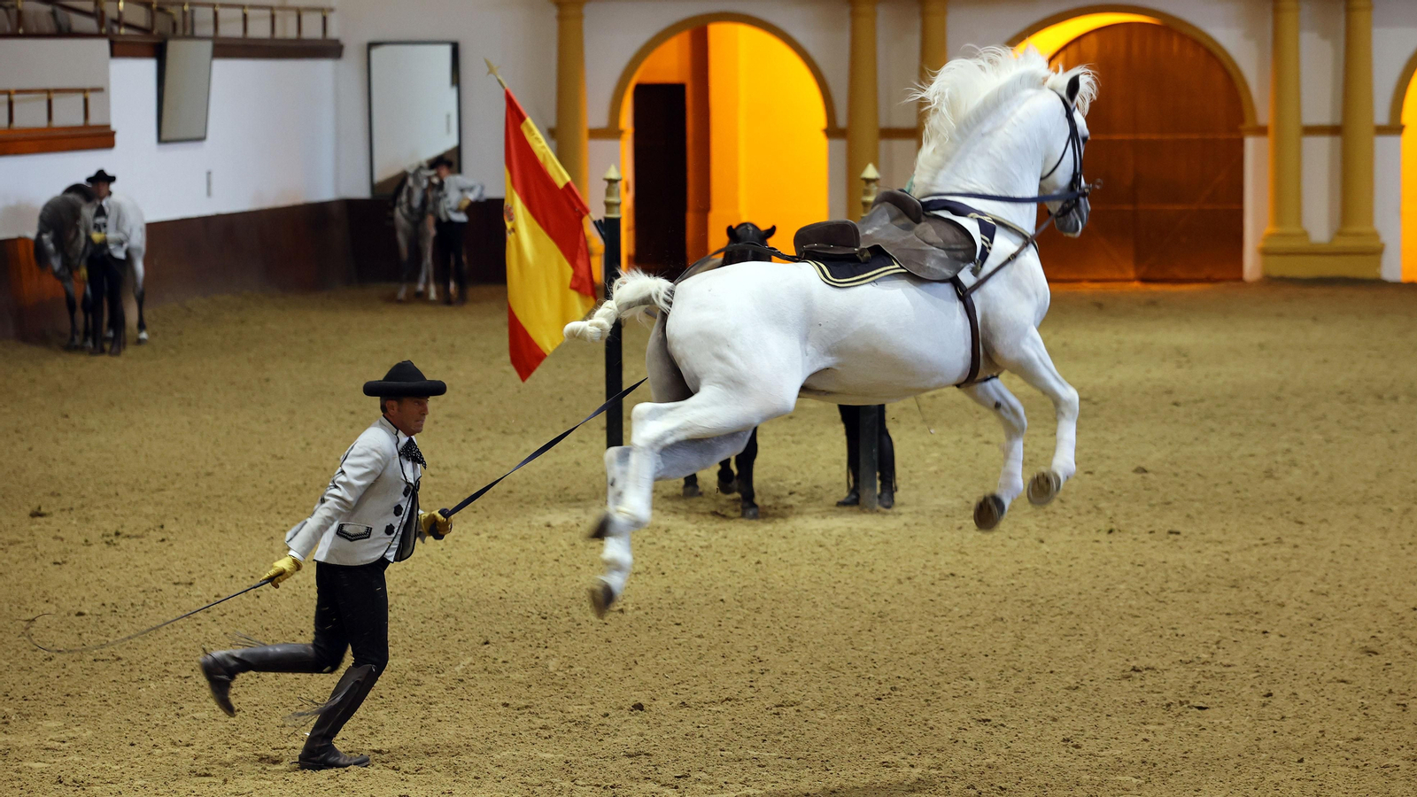 Espectáculo de la Real Escuela Andaluza de Arte Ecuestre dedicada al 40 aniversario de Diario de Jerez