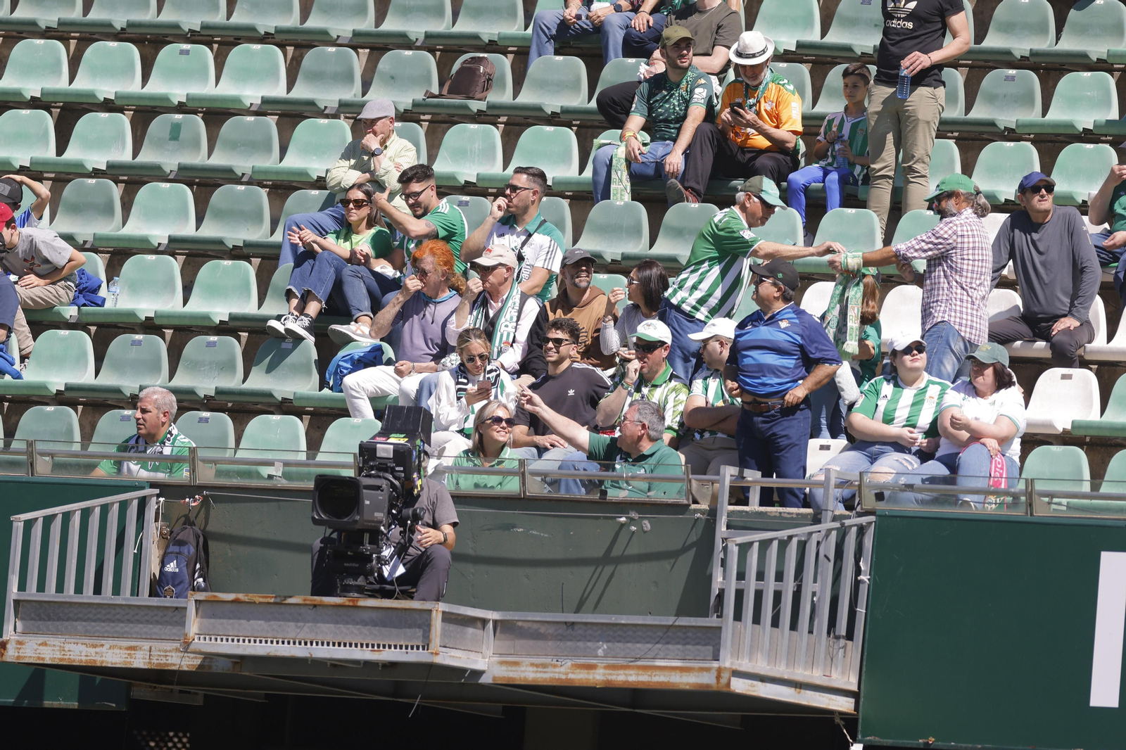 Búscate en las fotos del Betis-Mallorca