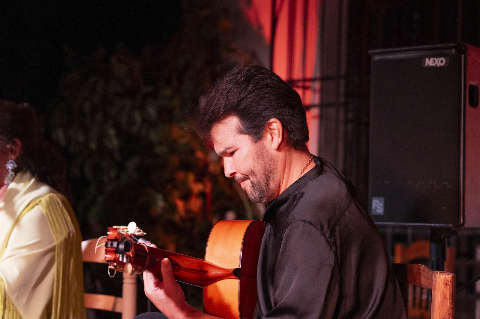 Las mejores imágenes del Festival de Flamenco en Fondón