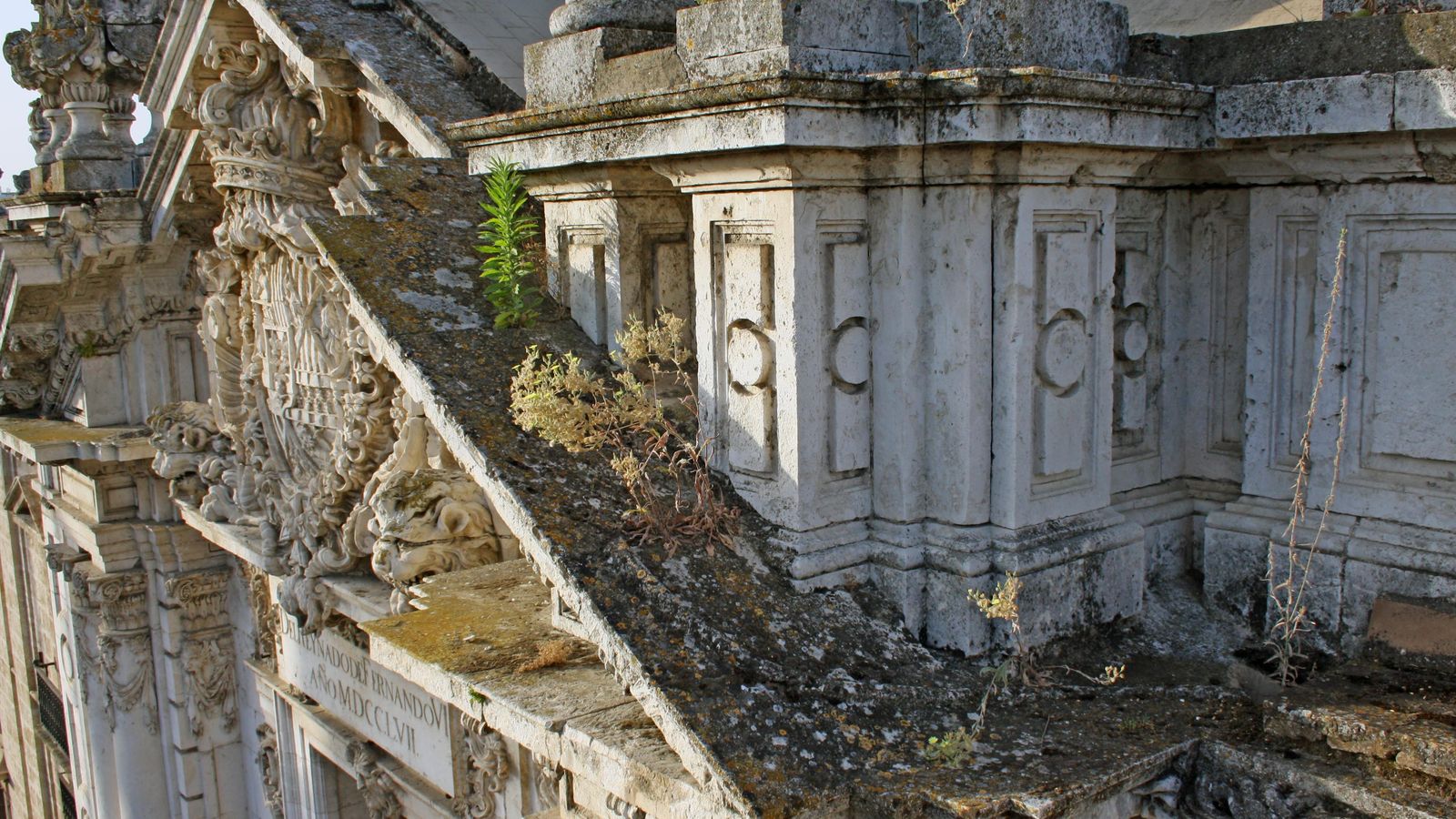 Biofilm y crecimiento de plantas en la portada.