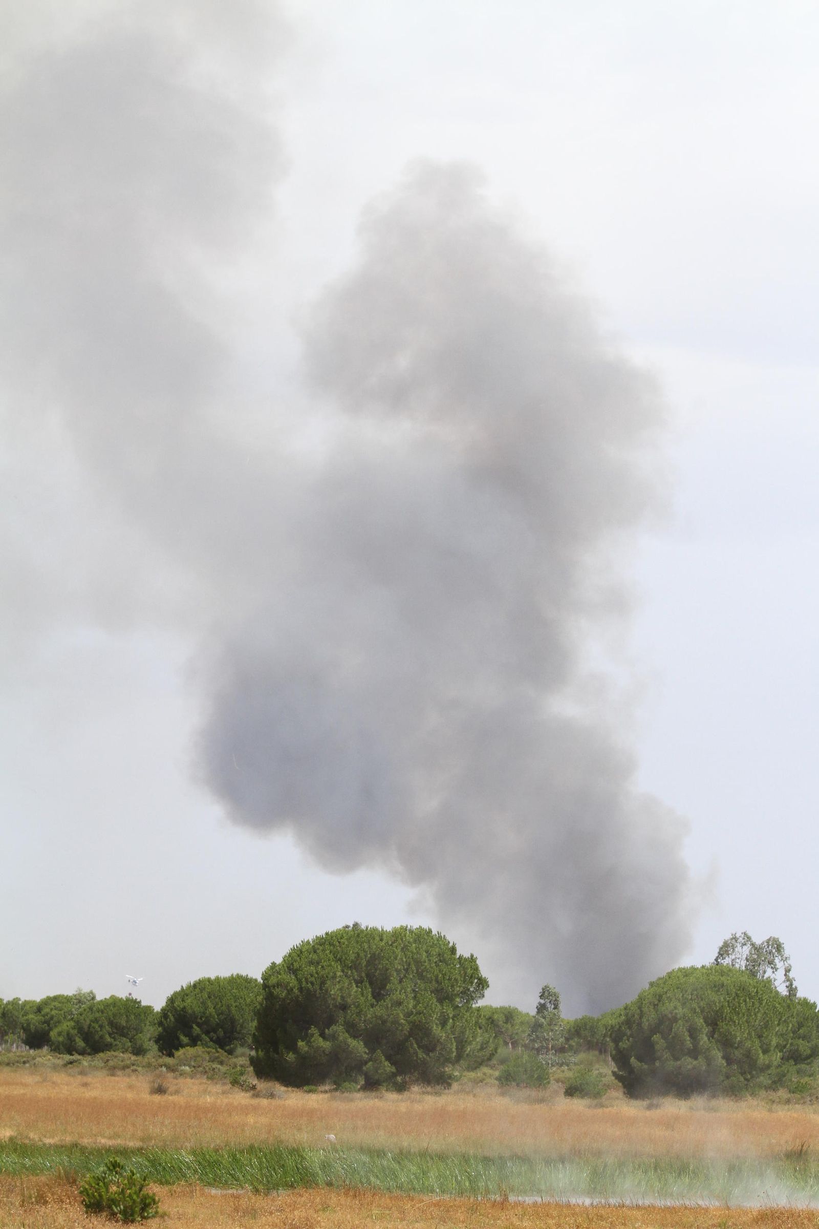 Las imágenes del incendio en Moguer y Mazagón