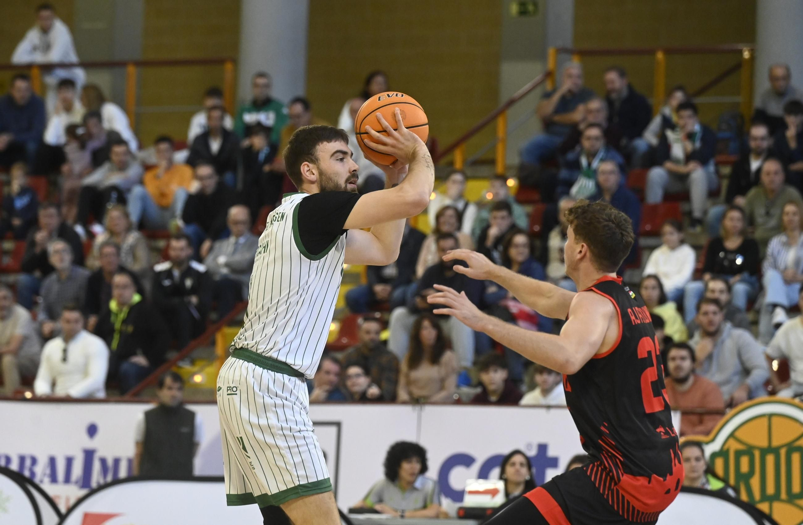 Las mejores fotos del ambiente en Vista Alegre para el Coto Córdoba - Logrobasket