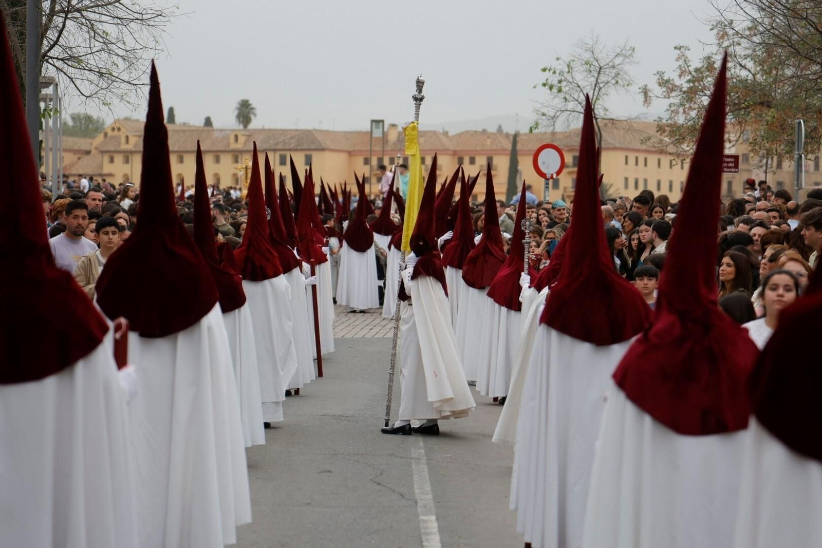 La procesión de la Vera-Cruz de Córdoba en este Domingo de Ramos, en imágenes