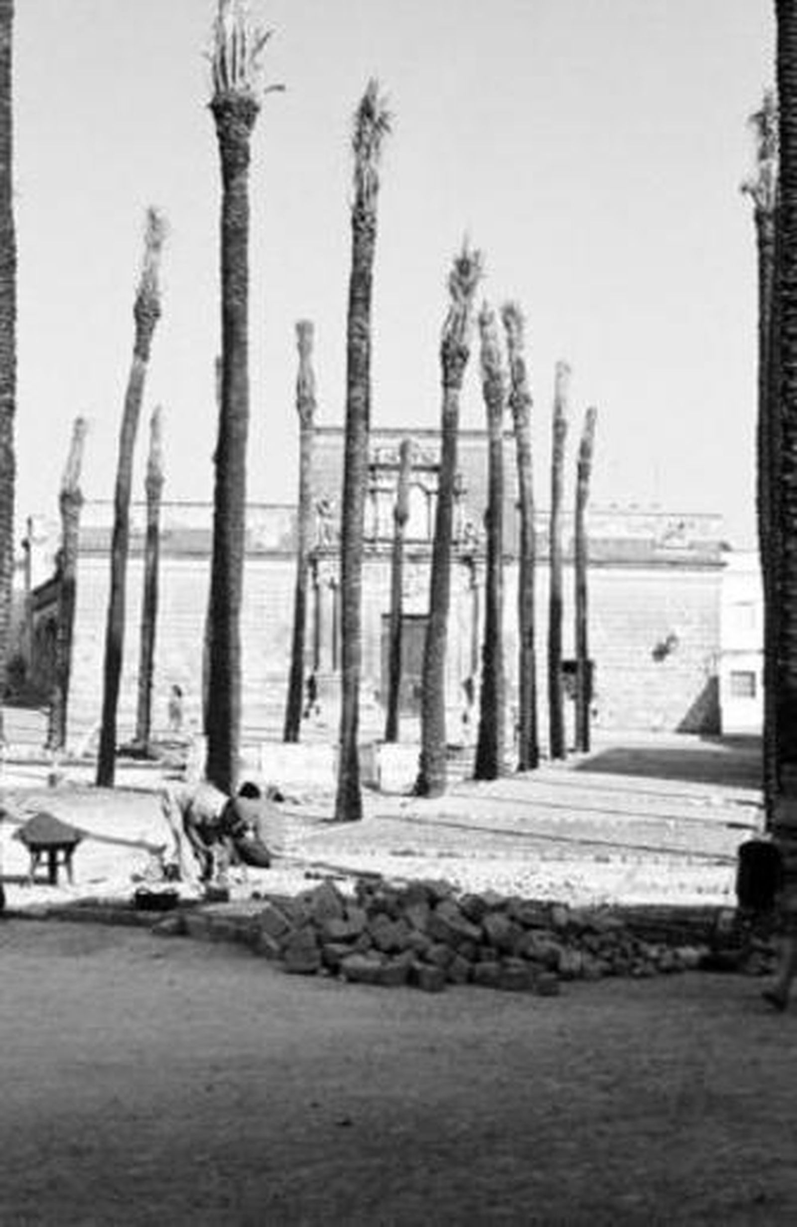 Desde la Plaza del Mercado