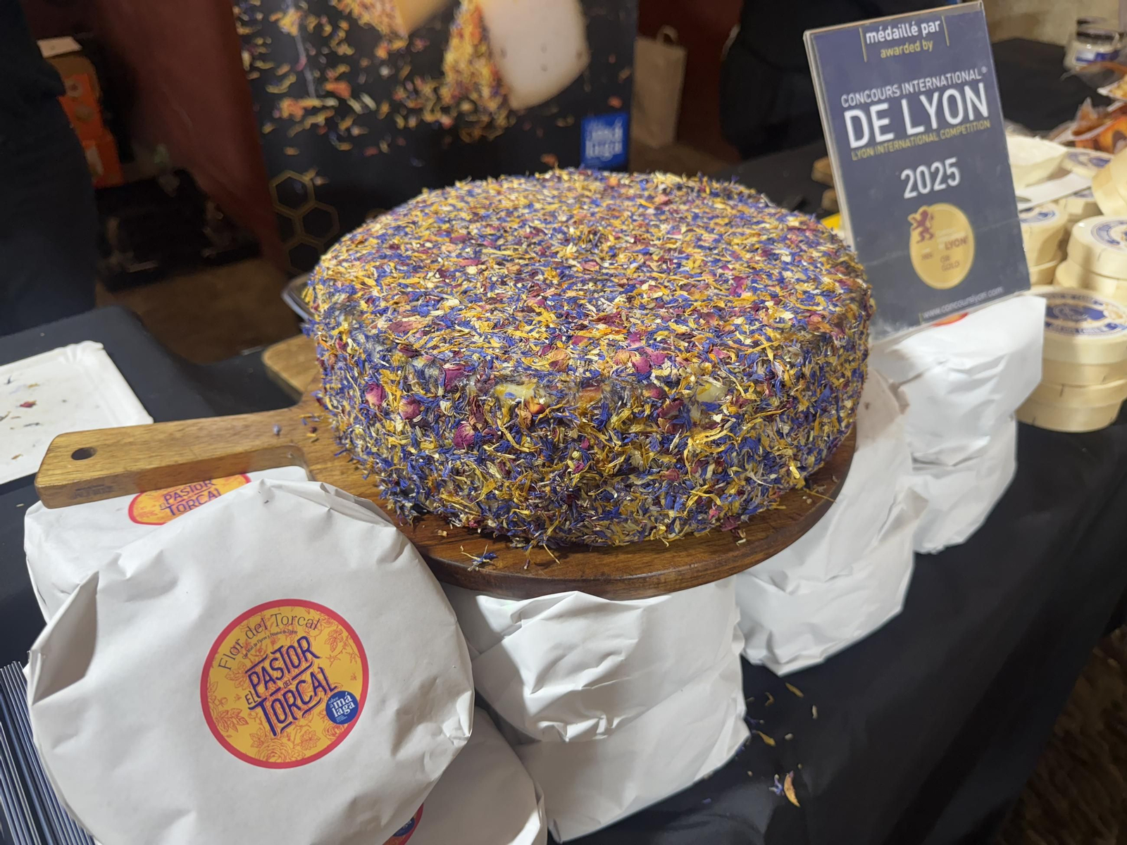 Las mejores imágenes de QuesArte Córdoba