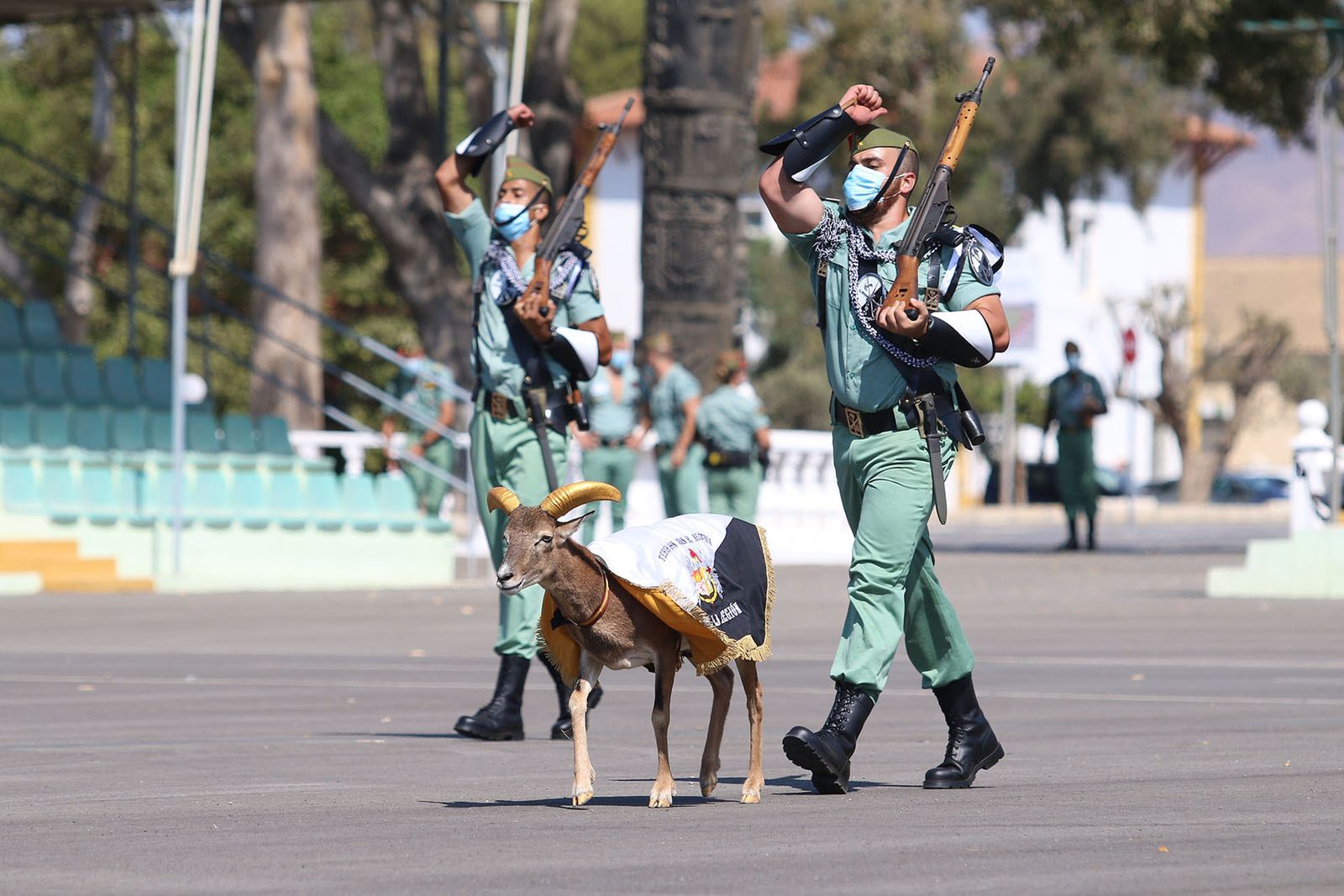 Fotogalería El Jefe del Estado Mayor del Ejército preside el acto conmemorativo del CI aniversario de La Legión